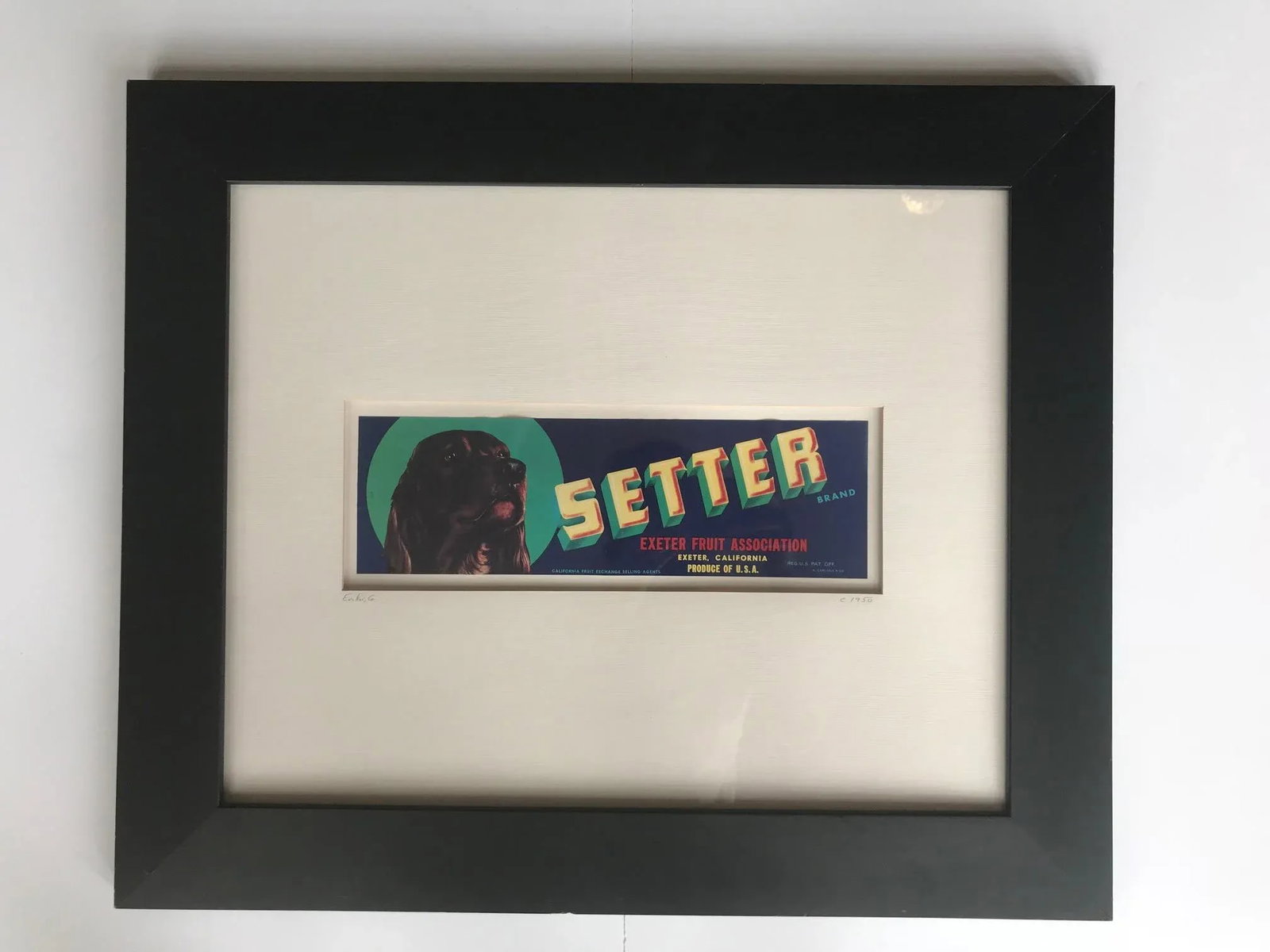 Vintage 1950s Crate Label Print for Setter Exeter Fruit Association - 9