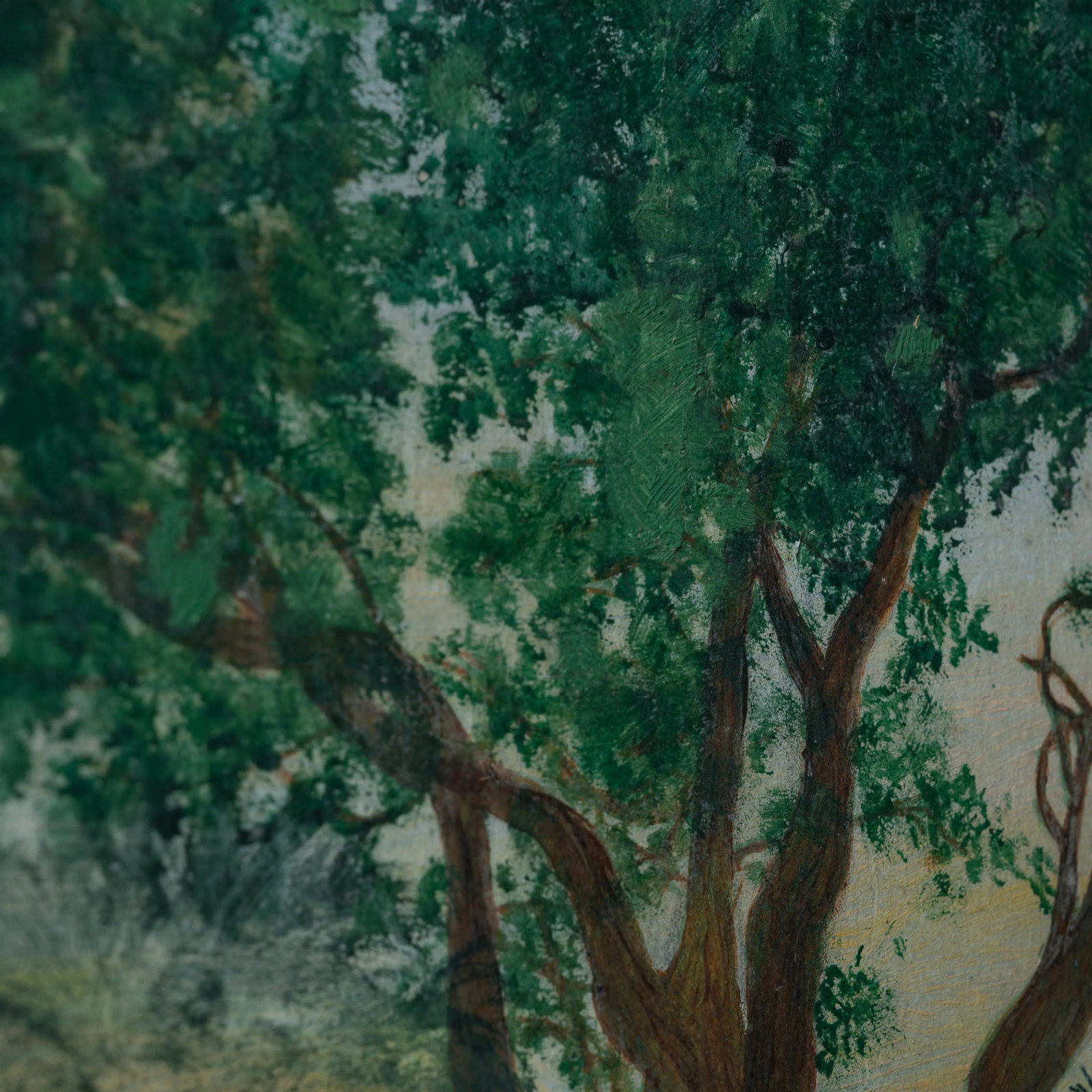 Sidney Lanier Oak, Brunswick, Georgia Painting, 1930s - 9