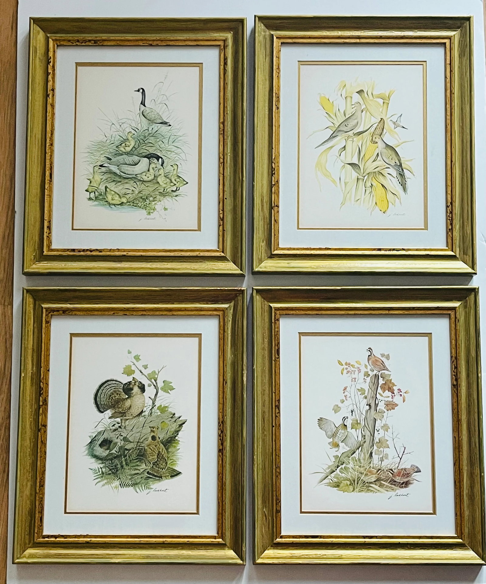 1950s Vintage J Lockhart Bird Prints in Golden Framed- Set of 4 - 2