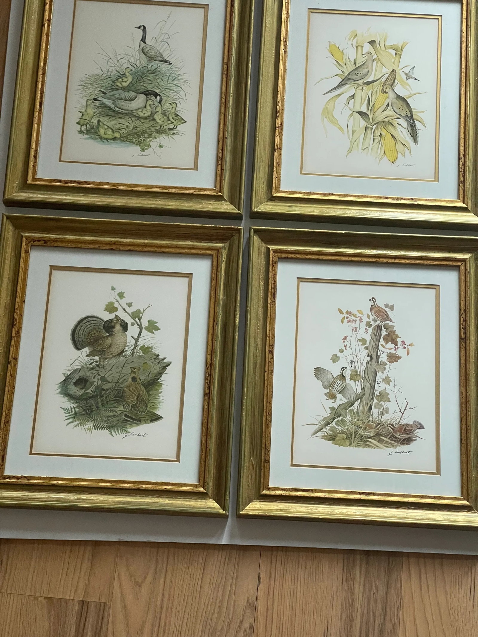 1950s Vintage J Lockhart Bird Prints in Golden Framed- Set of 4 - 5
