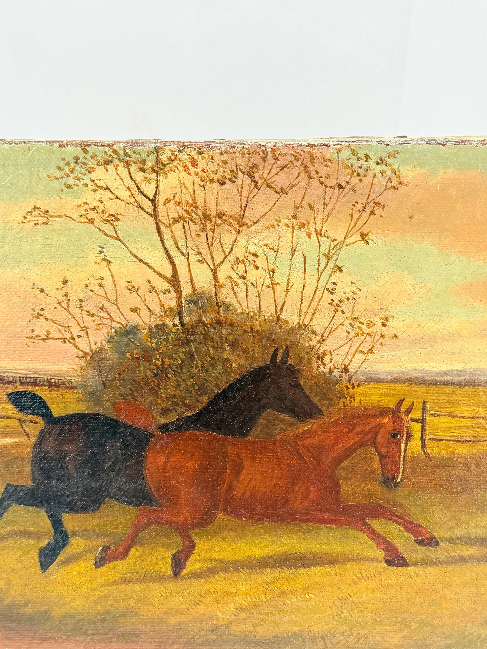 Albert Clark (American, 1843-1928) - Two Horses at Play - 8