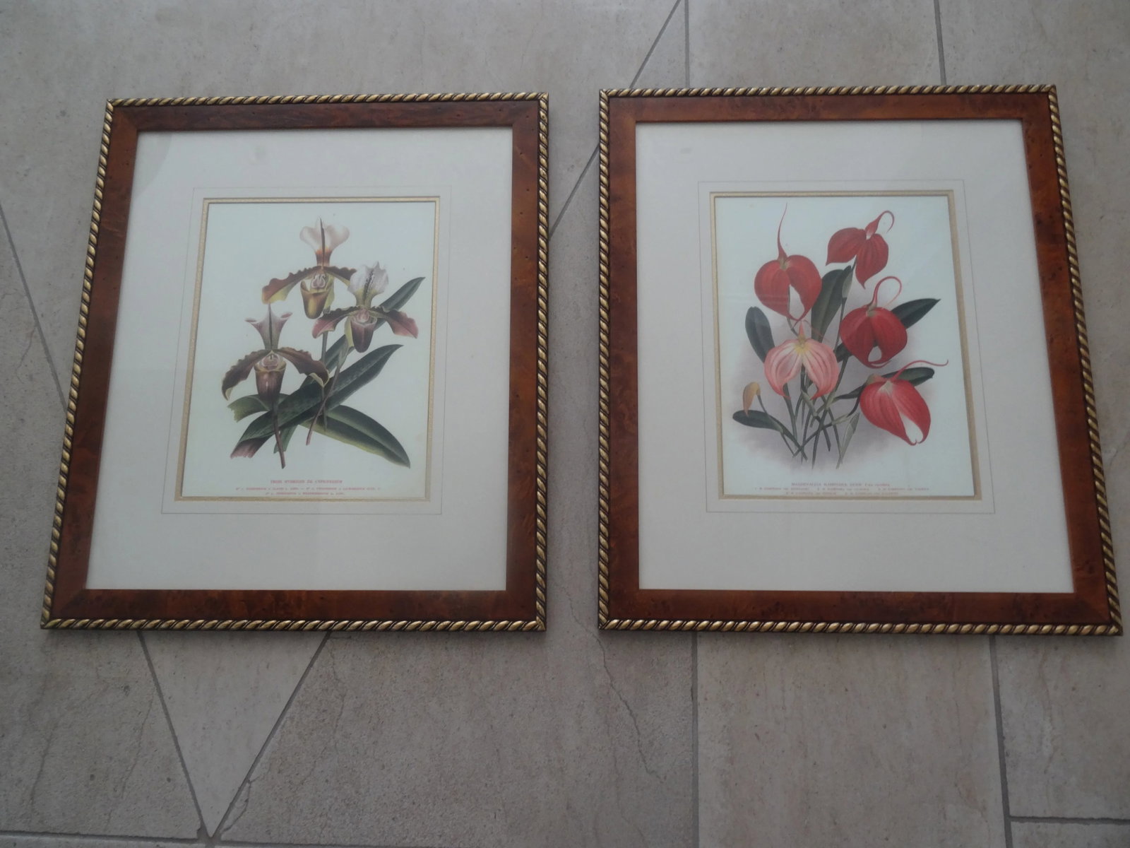 Vintage Botanicals a Pair - 2