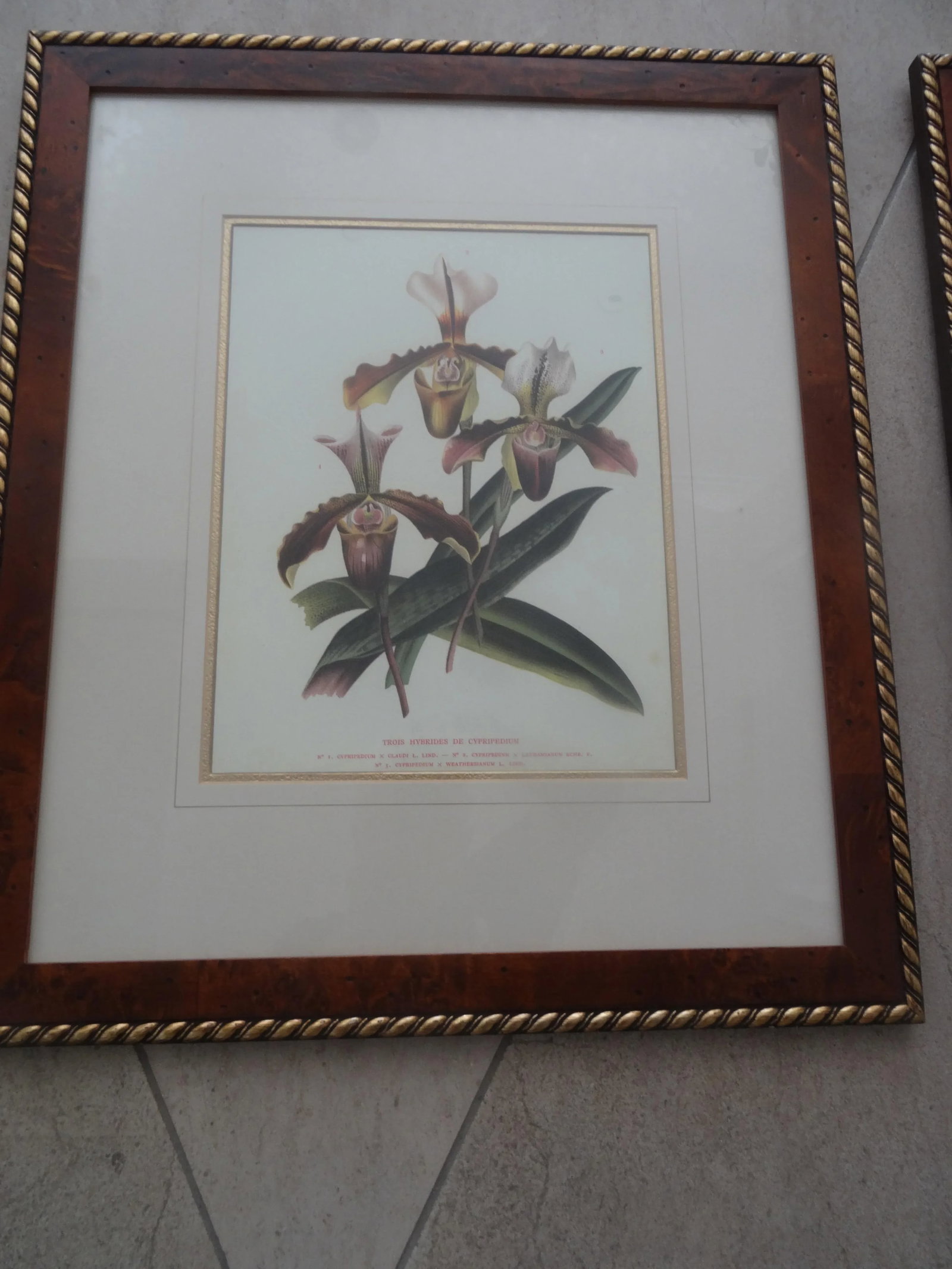 Vintage Botanicals a Pair - 4