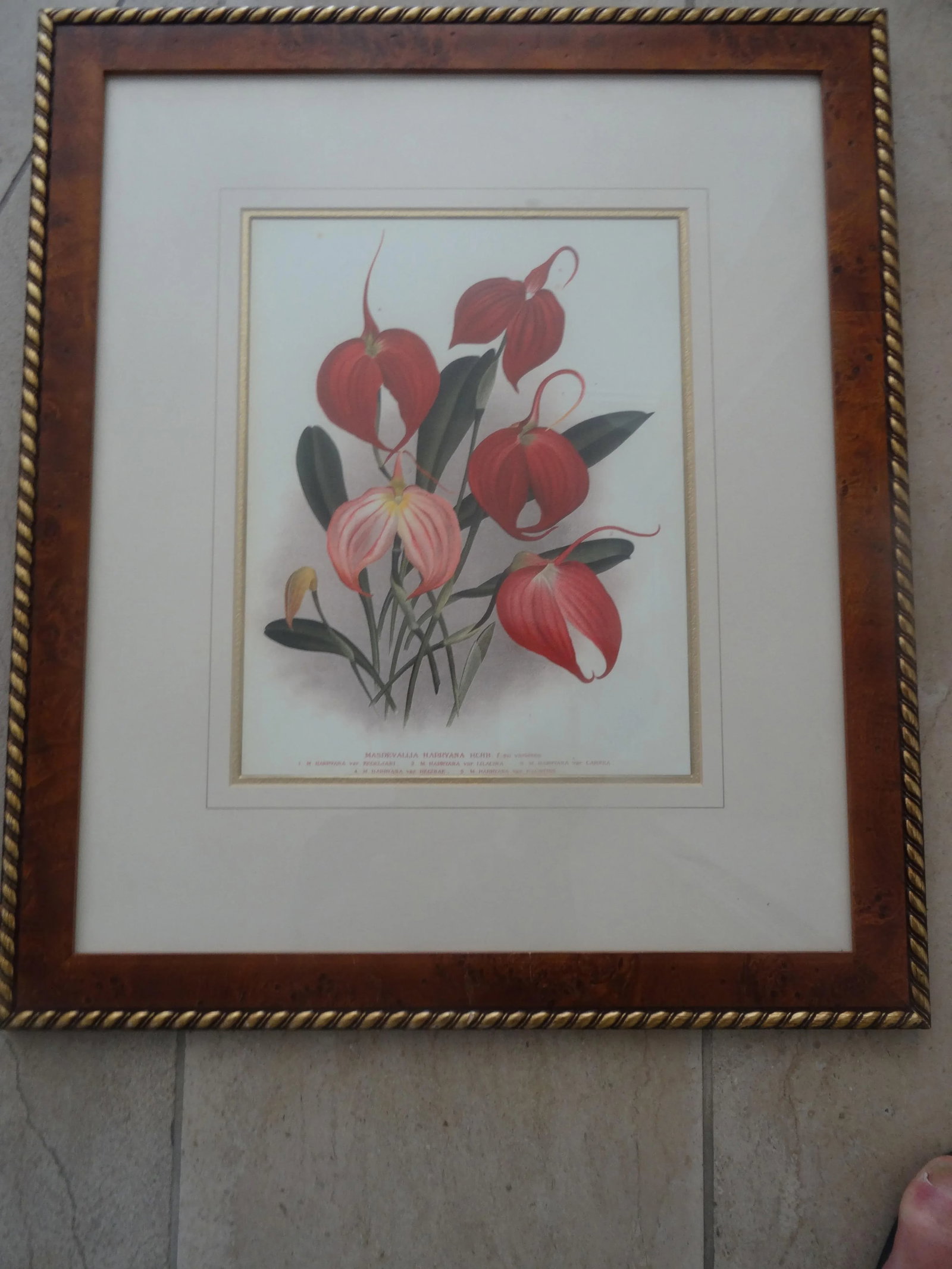 Vintage Botanicals a Pair - 5