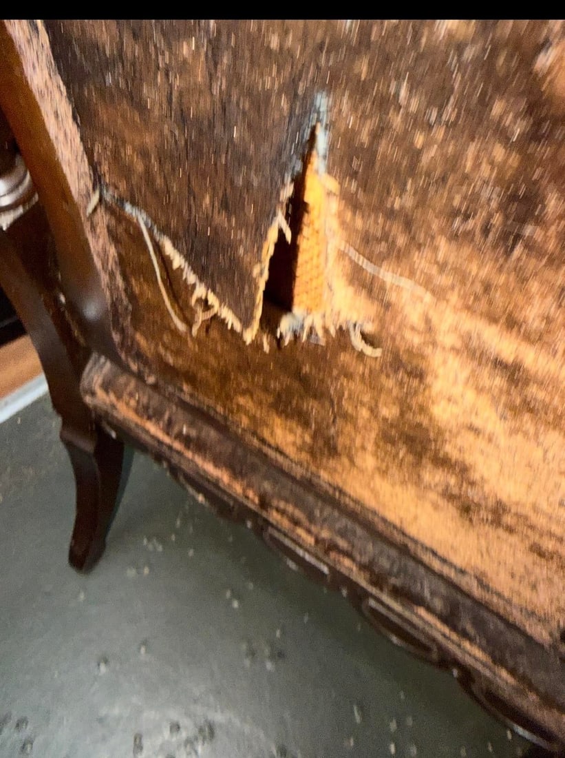 Early 20th Century Carved Jacobean Victorian Throne Chairs - 11