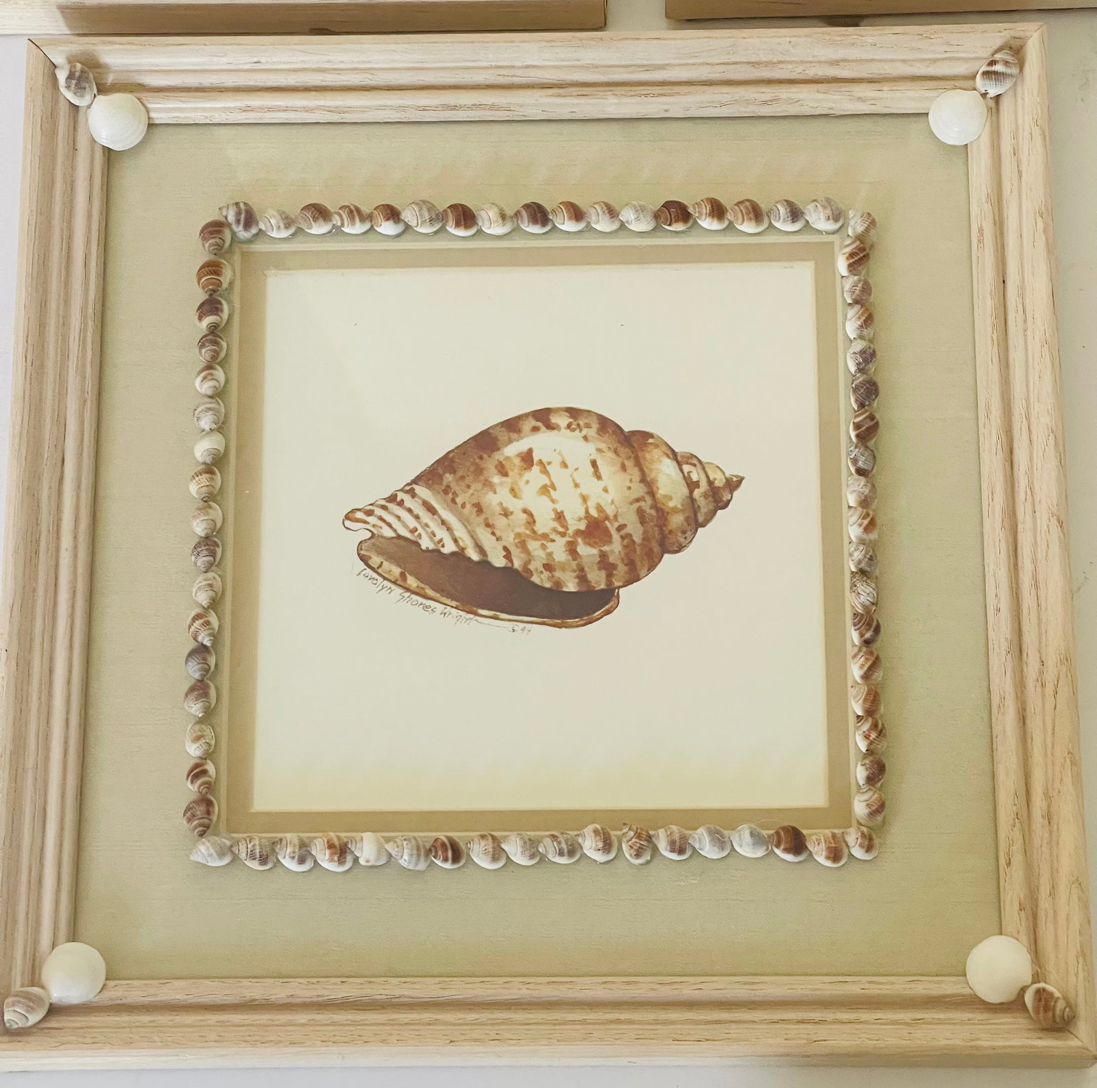 Vintage Sea Shell Framed Chromolithographs With Shell Encrusting Birder Reproduction - Set of 3 - 2
