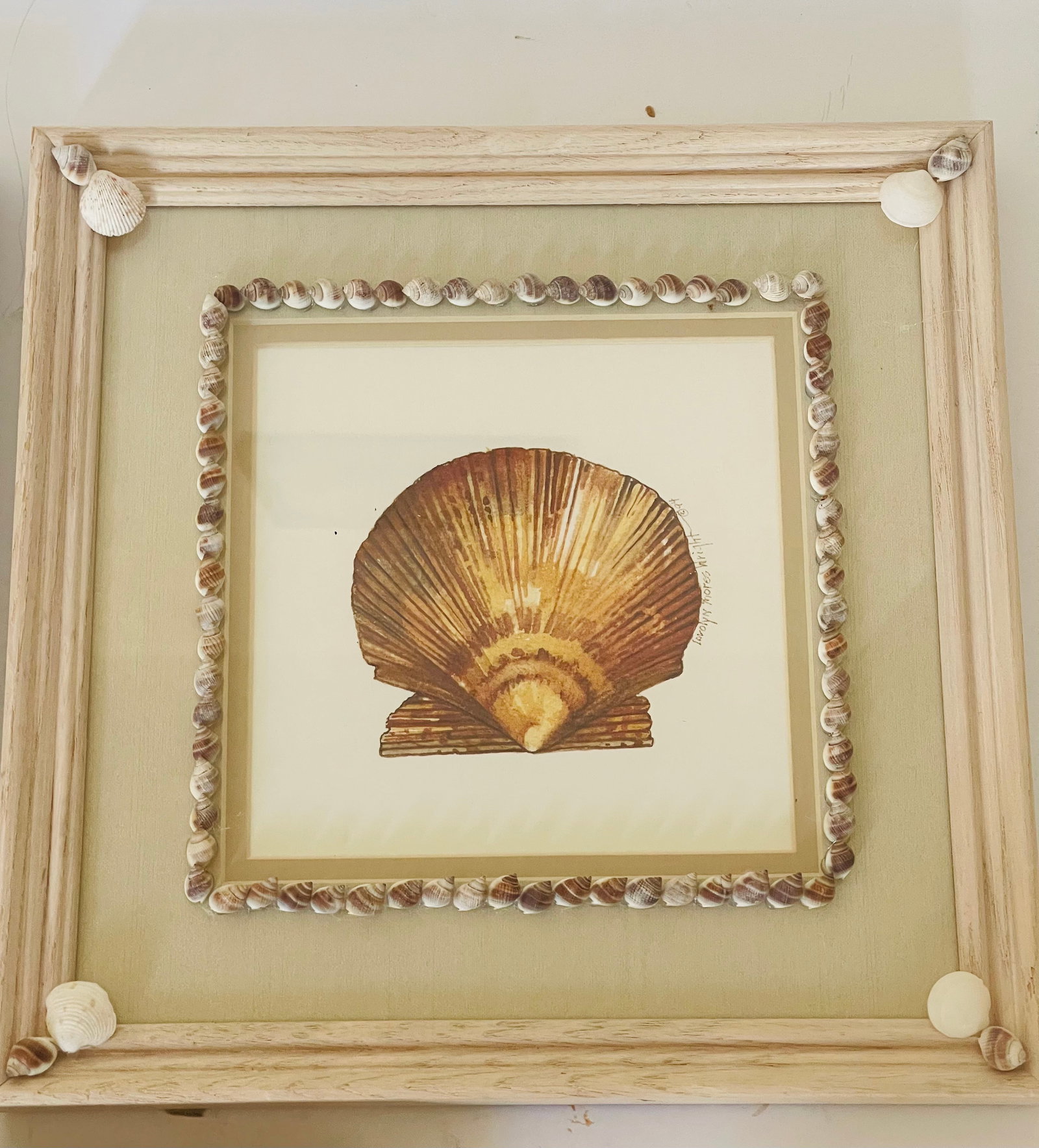 Vintage Sea Shell Framed Chromolithographs With Shell Encrusting Birder Reproduction - Set of 3 - 3