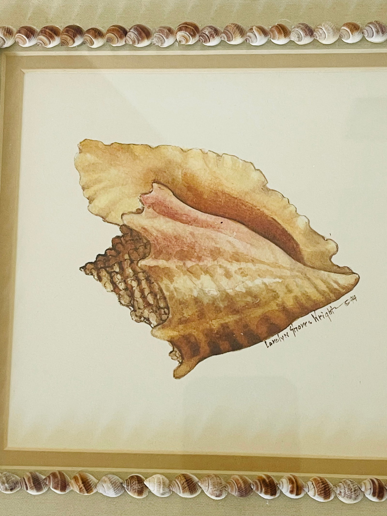 Vintage Sea Shell Framed Chromolithographs With Shell Encrusting Birder Reproduction - Set of 3 - 4