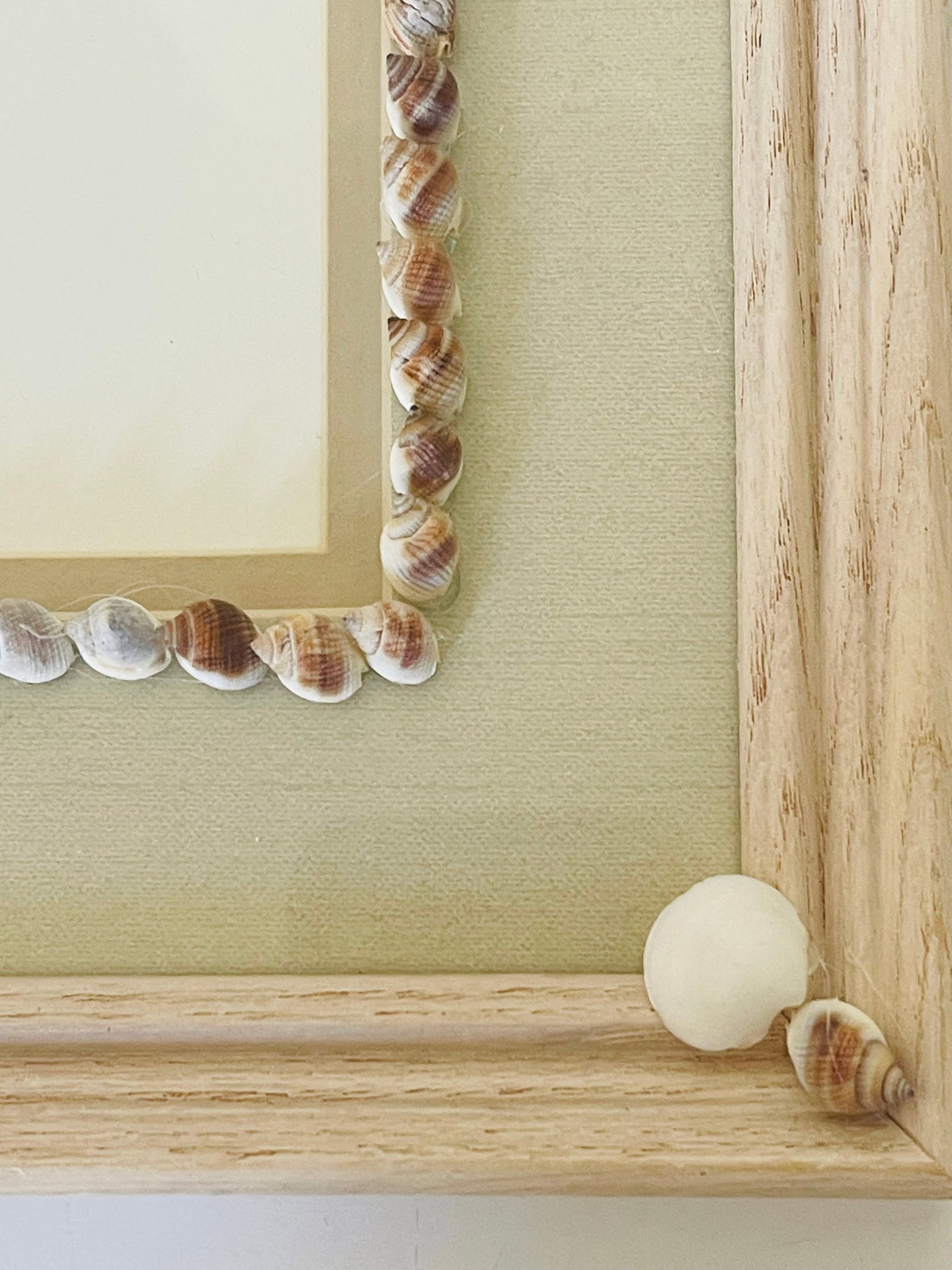 Vintage Sea Shell Framed Chromolithographs With Shell Encrusting Birder Reproduction - Set of 3 - 5