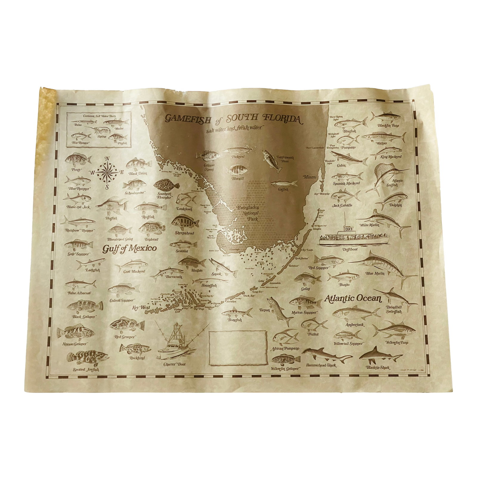 Vintage Poster Gamefish of Florida Salt and Fresh Fish: Original mid century poster of Gamefish of Florida Salt water Fish and Fresh Water fish. Condition: Alterations: Original Condition Unaltered Imperfections: Some Imperfections Condition Notes: Good