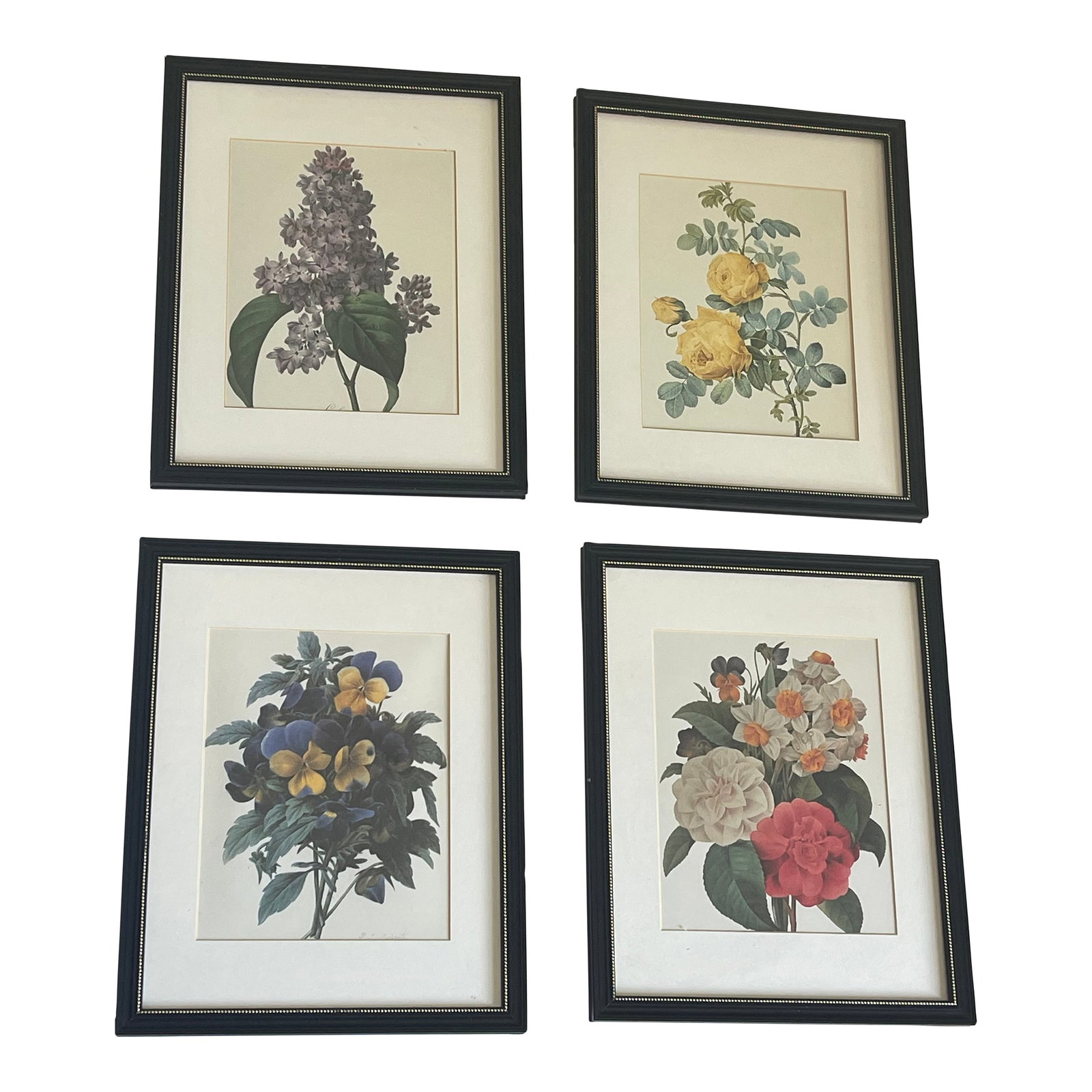 1960s Set of 4 P.J. Redoute Botanical Floral Chromolithographs Framed Reproduction: Gorgeous set of 4 botanical floral Chromolithographs framed matted P.J.Redoute. Condition: Alterations: Original Condition Unaltered Imperfections: Some Imperfections Condition Notes: Good Origin: