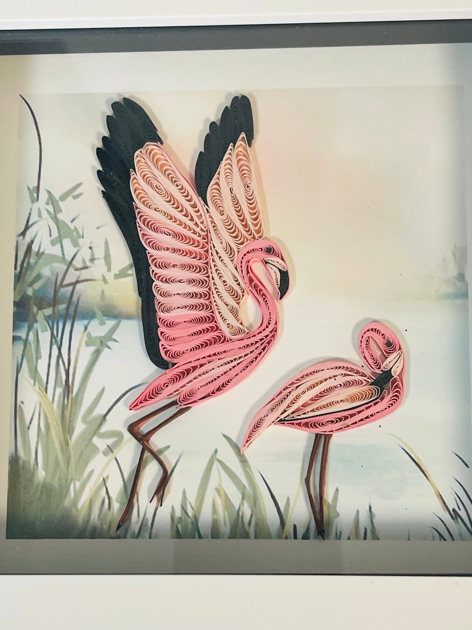 1970s Florida Coastal Collage Art Framed 6 PCS Set Sea Shells, . Pelicans - 4