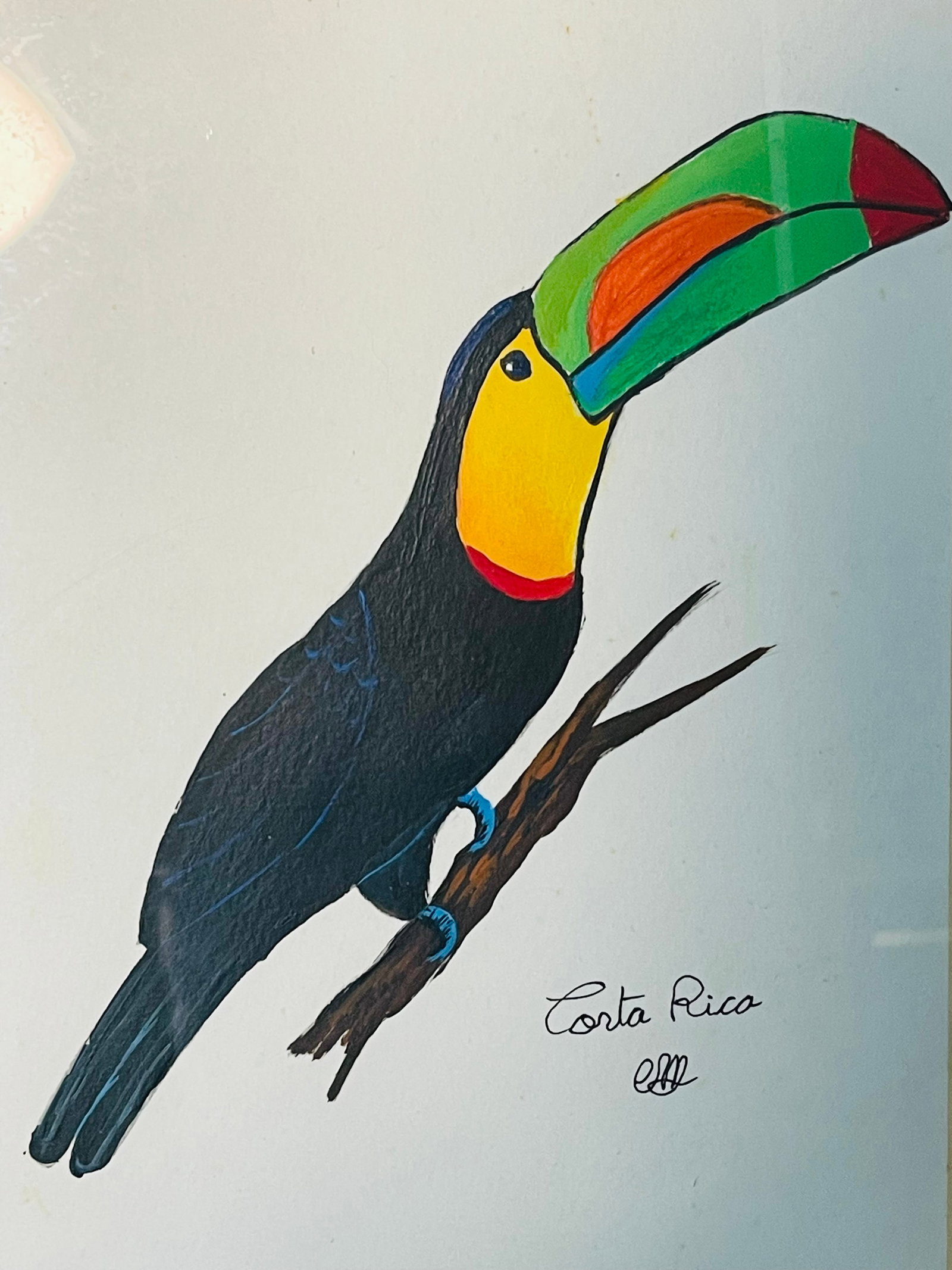1960s Costa Rican Toucan Bird Watercolor in Gold Frame - 2