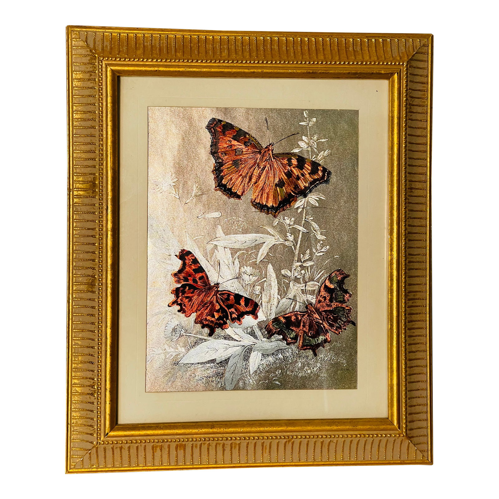 1960s Monarch Butterflies on Silver Chromolithograph Framed: Gorgeous Monarch Butterflies on silver foil background- Chromolithograph in gold tone frame. Condition: Alterations: Original Condition Unaltered Imperfections: Some Imperfections Condition Notes: