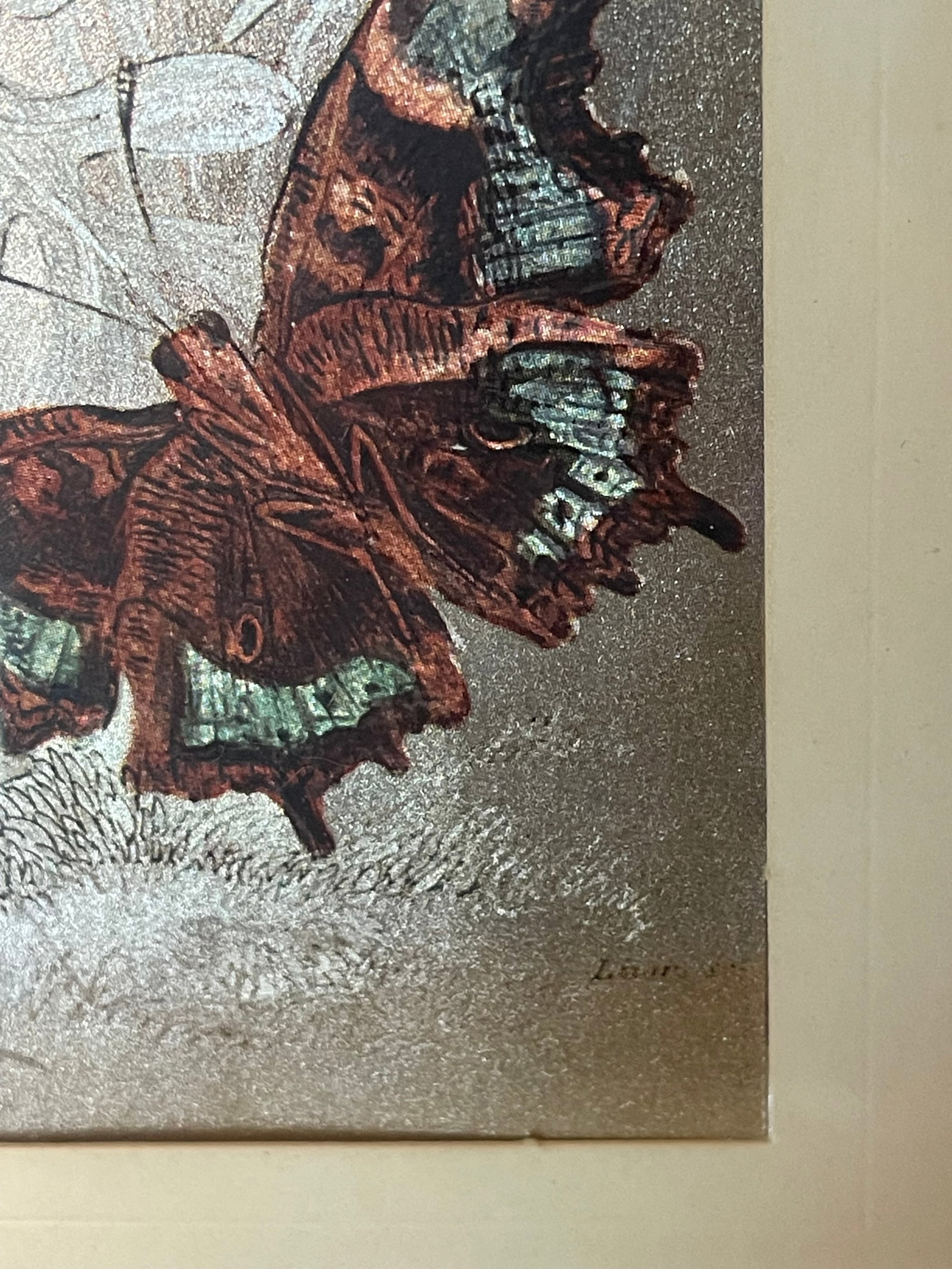 1960s Monarch Butterflies on Silver Chromolithograph Framed - 4
