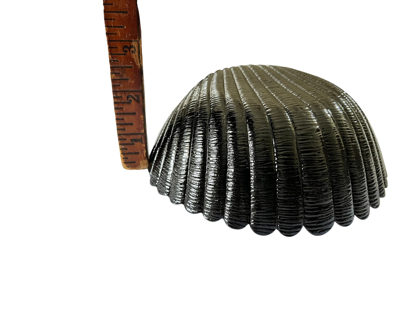 1960s Arcoroc France "Coquillage" Black Glass Shell Serving Set - 16 Pieces With Chip & Dip Platter - 12