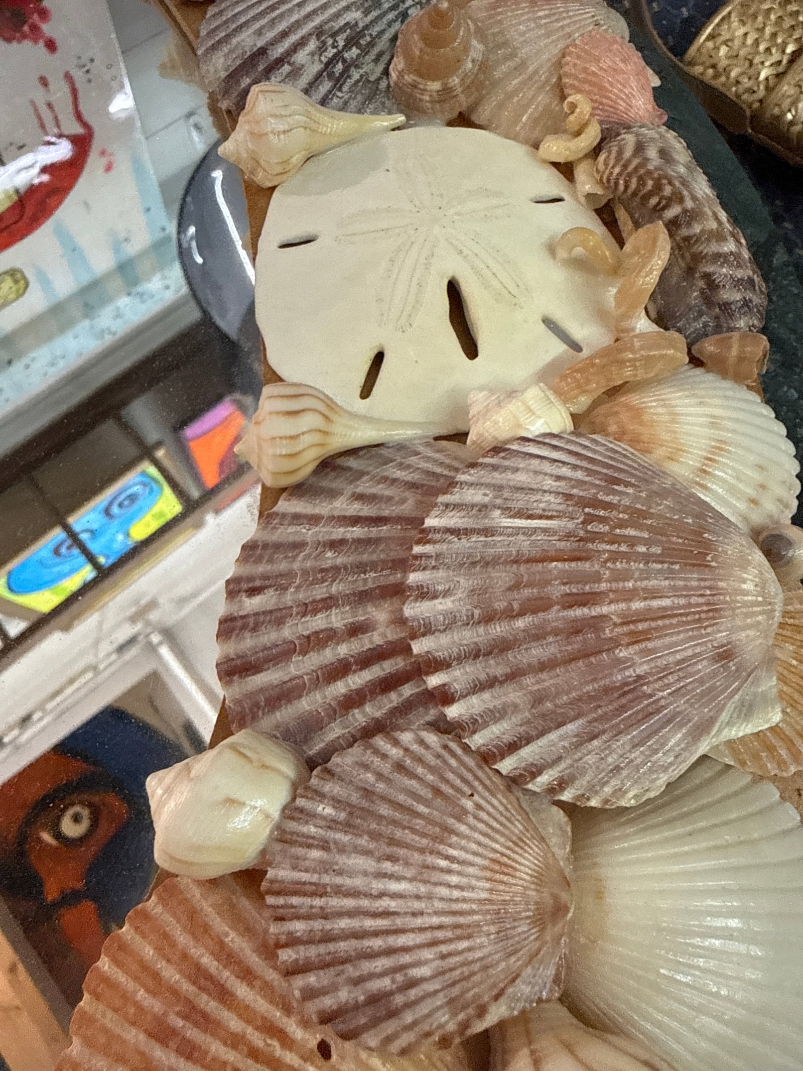 1970s Sculptural Boho Sea Shell Wall Hanging Mirror - 4