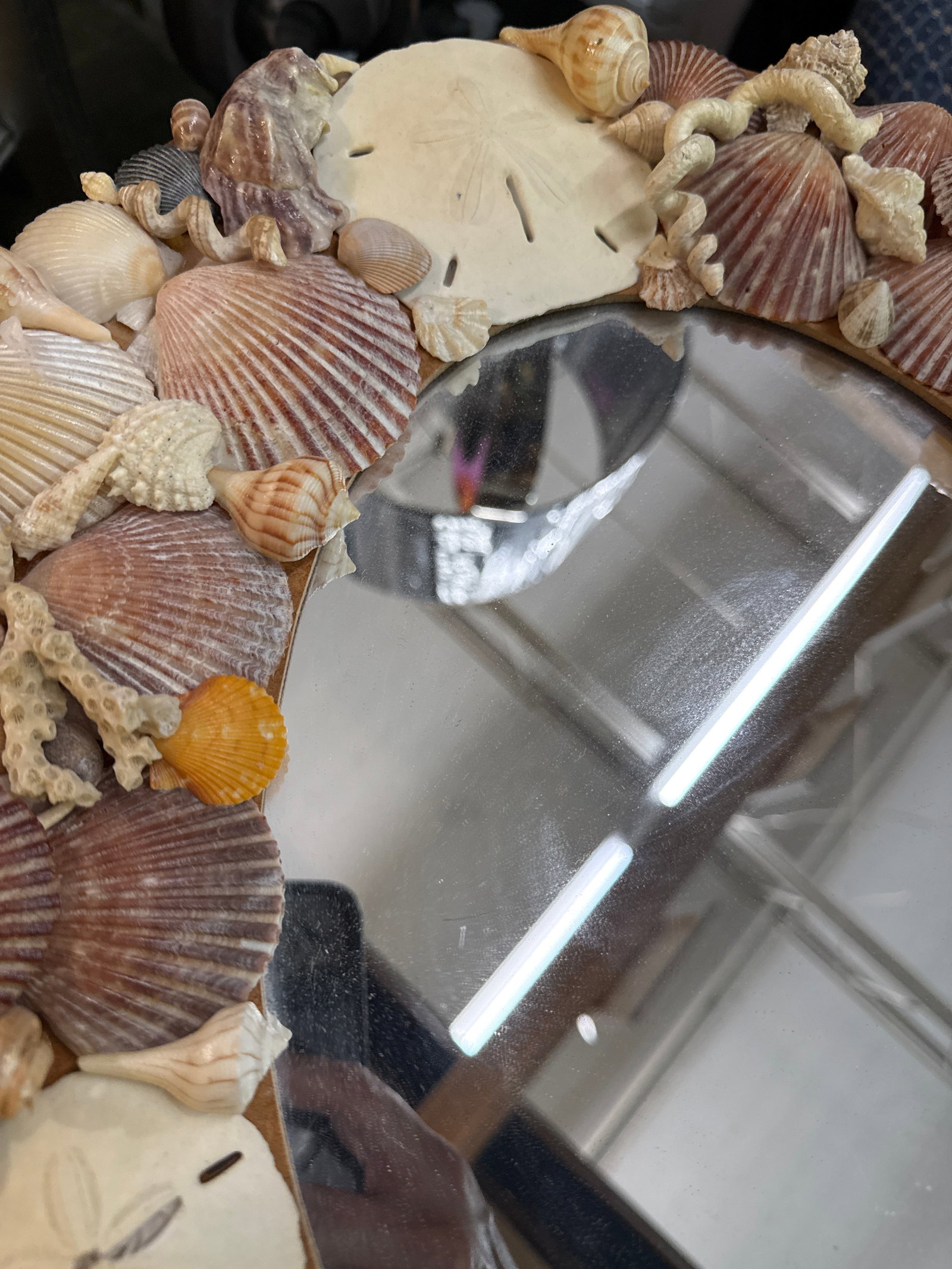 1970s Sculptural Boho Sea Shell Wall Hanging Mirror - 5