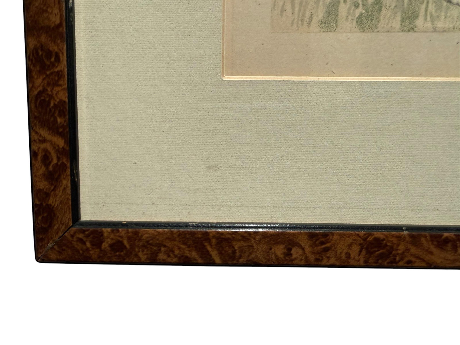 Original 1881 Chromolithograph of Pointer Dog "Wagg" From Cassell's Illustrated Book of the Dog, by - 7