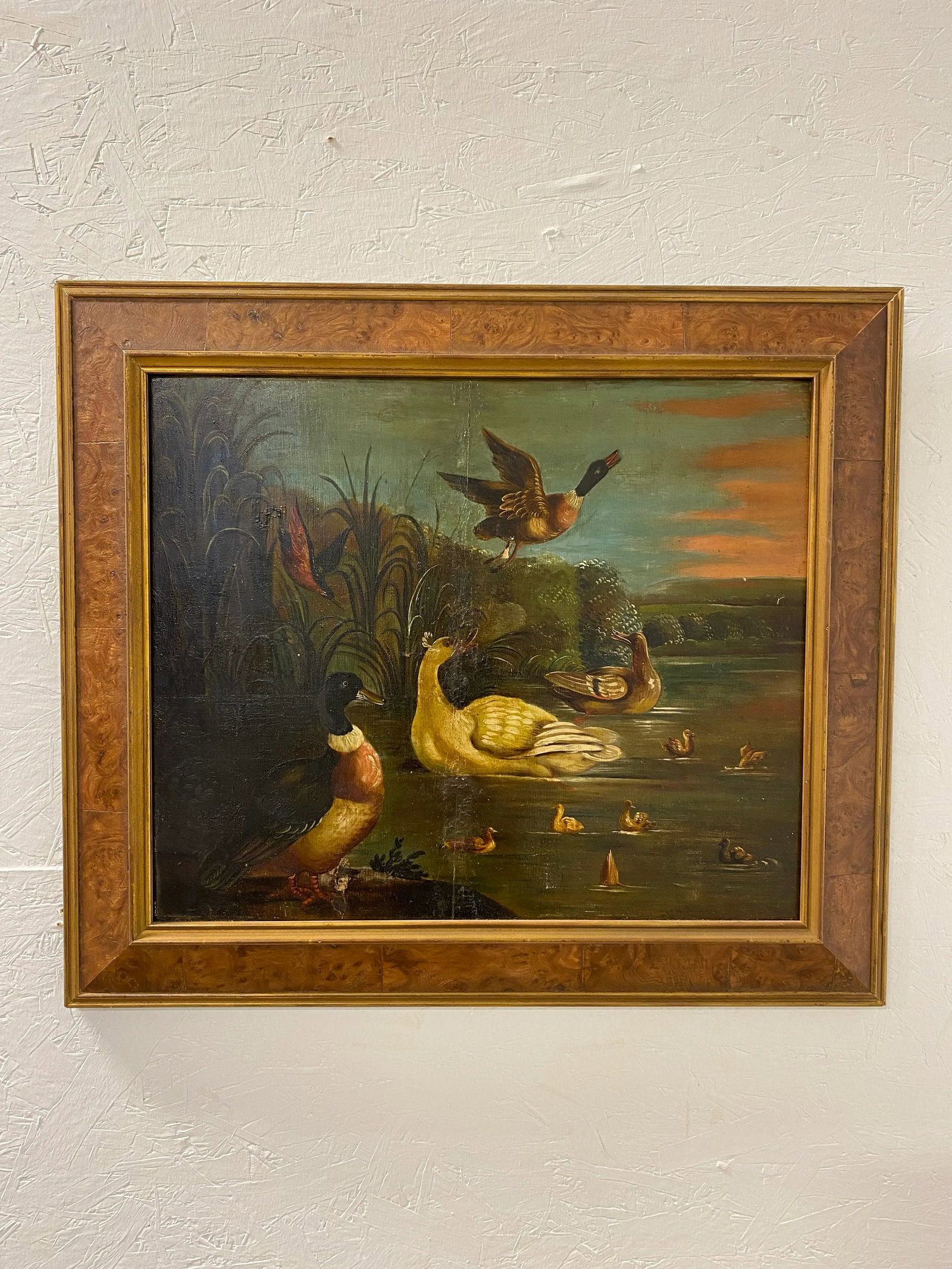 19th Century Dutch School Landscape Painting of Ducks After Melchior D'Hondecoeter - 12
