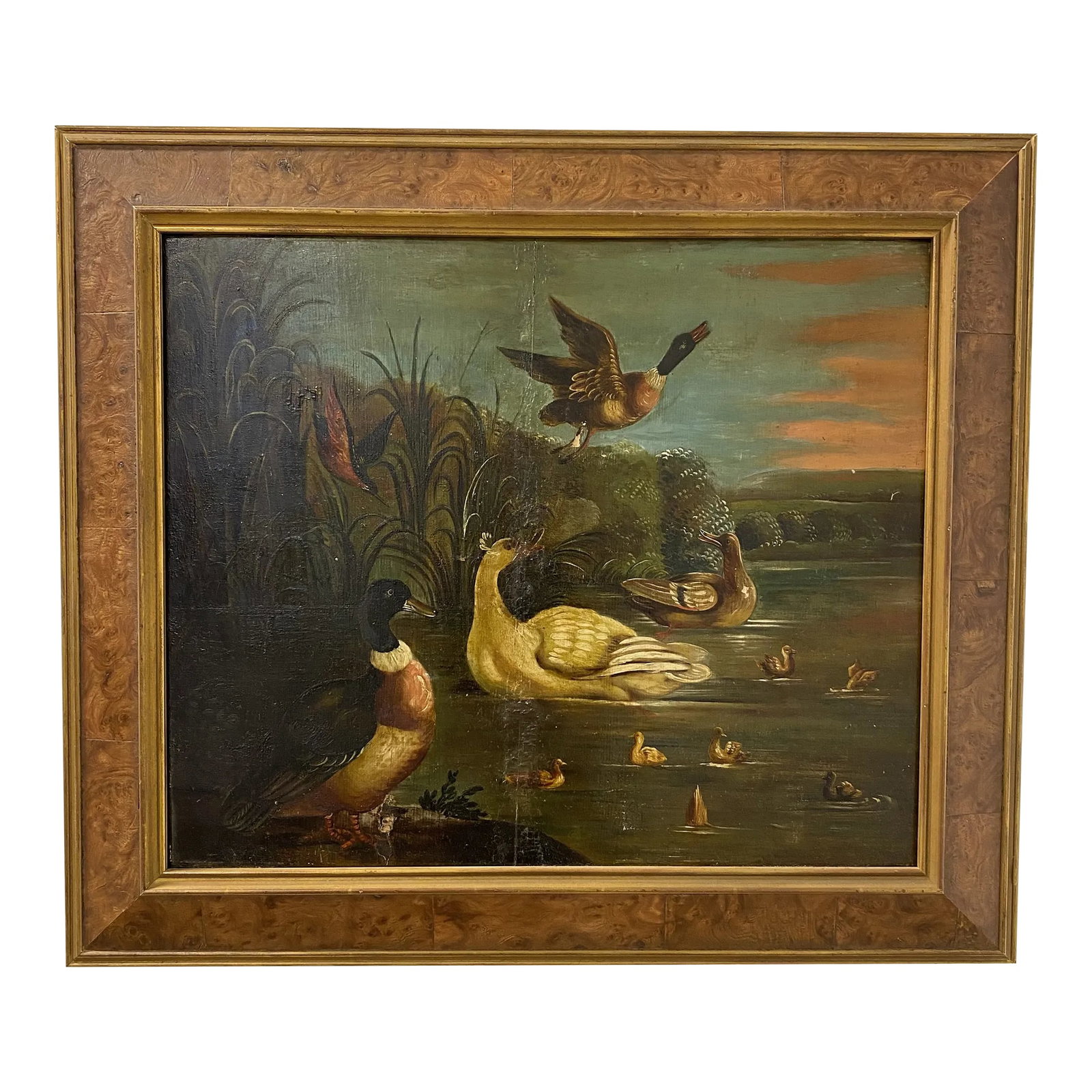 19th Century Dutch School Landscape Painting of Ducks After Melchior D'Hondecoeter: After Melchior D'Hondecoeter (Dutch, 1636-1695). An oil on wood panel landscape painting of a pond scene showcasing a white swan, male & female mallards, baby ducklings and various other birds. Housed