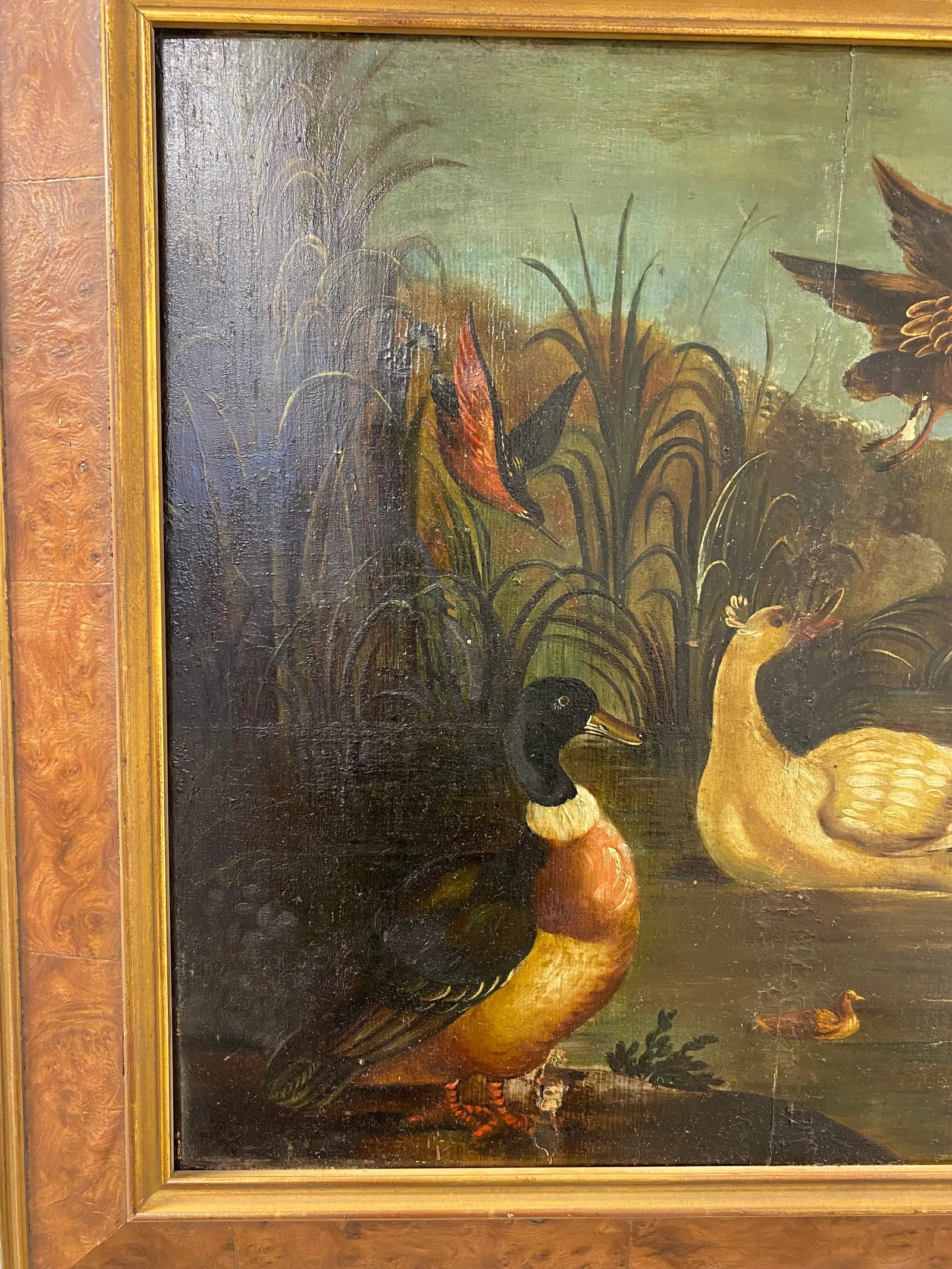 19th Century Dutch School Landscape Painting of Ducks After Melchior D'Hondecoeter - 2