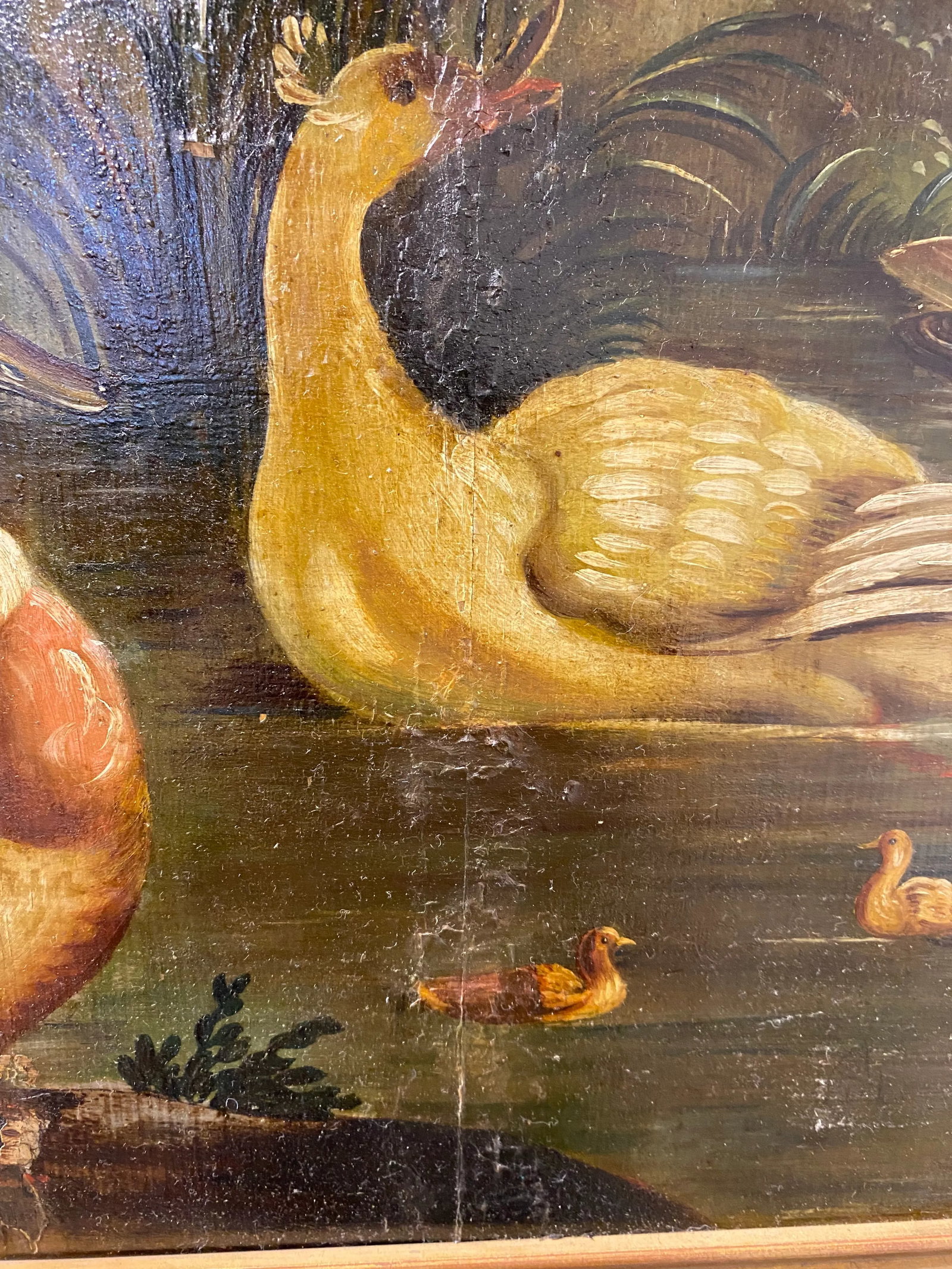 19th Century Dutch School Landscape Painting of Ducks After Melchior D'Hondecoeter - 4