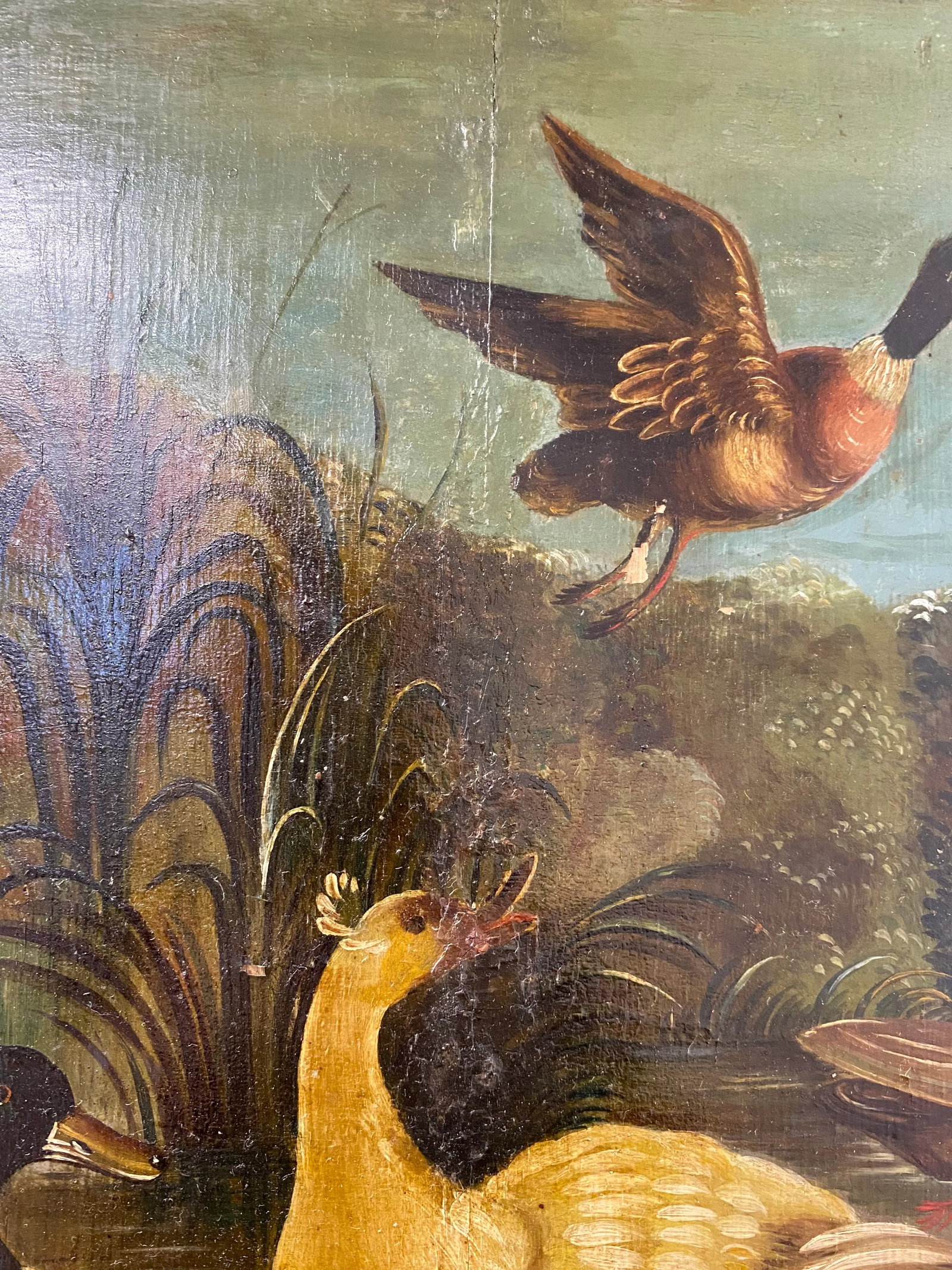 19th Century Dutch School Landscape Painting of Ducks After Melchior D'Hondecoeter - 5