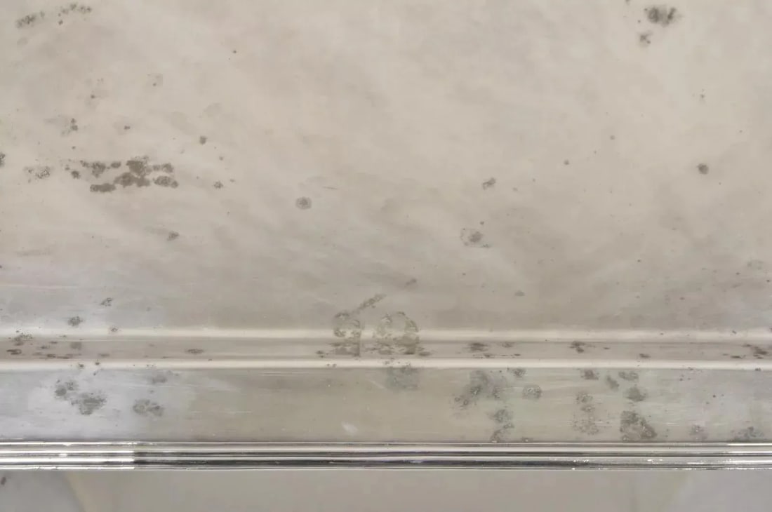 Vintage Devon Argentina Large English Regency Silver Plated Serving Platter Tray - 7