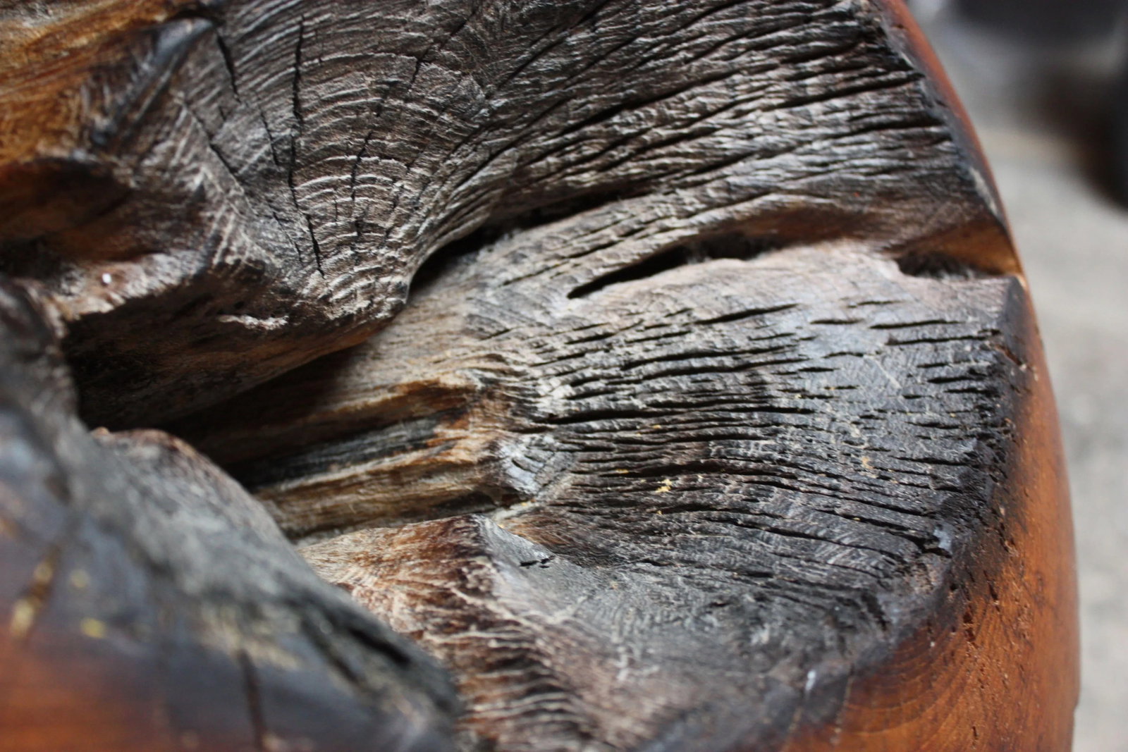 Large Midcentury Redwood Burl Sphere Sculpture - 10