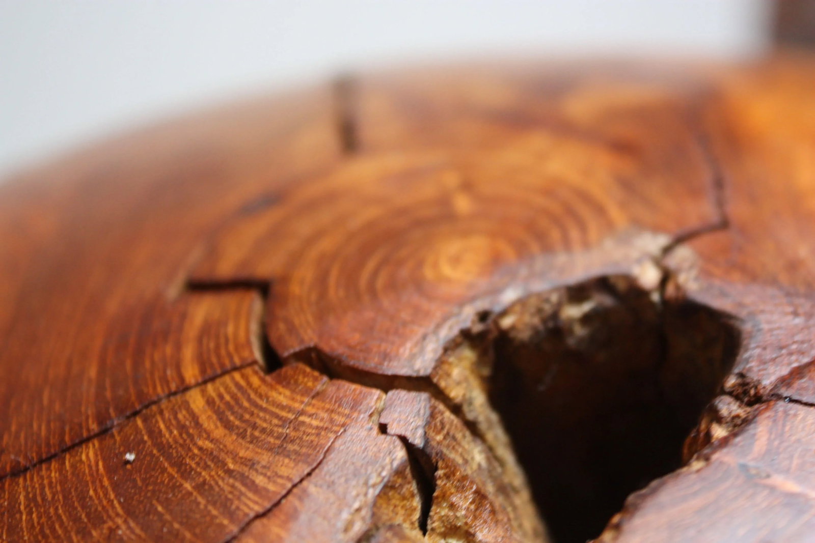 Large Midcentury Redwood Burl Sphere Sculpture - 8