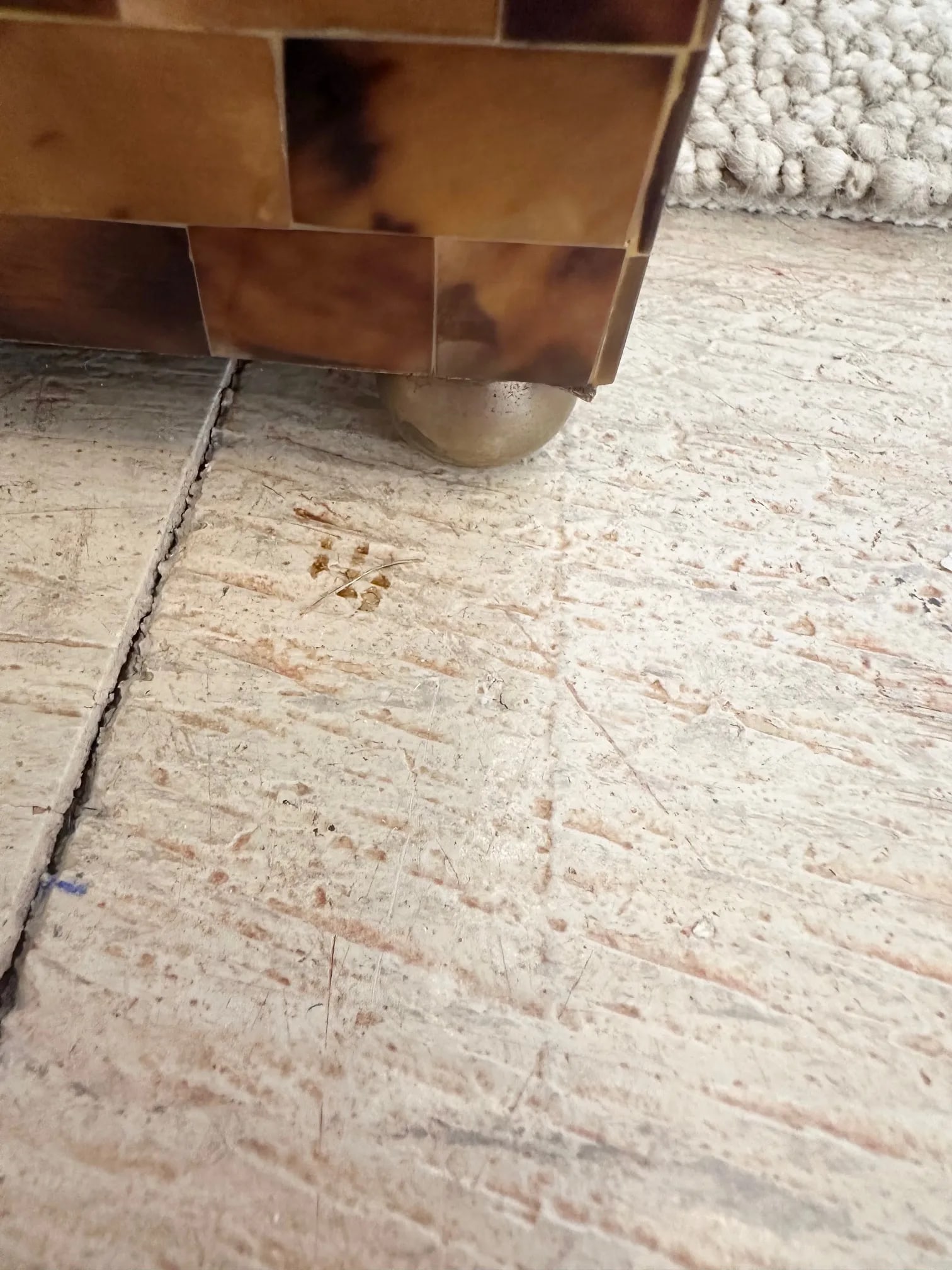 Glossy Horn Box With Brass Inlay and Ball Feet - 9
