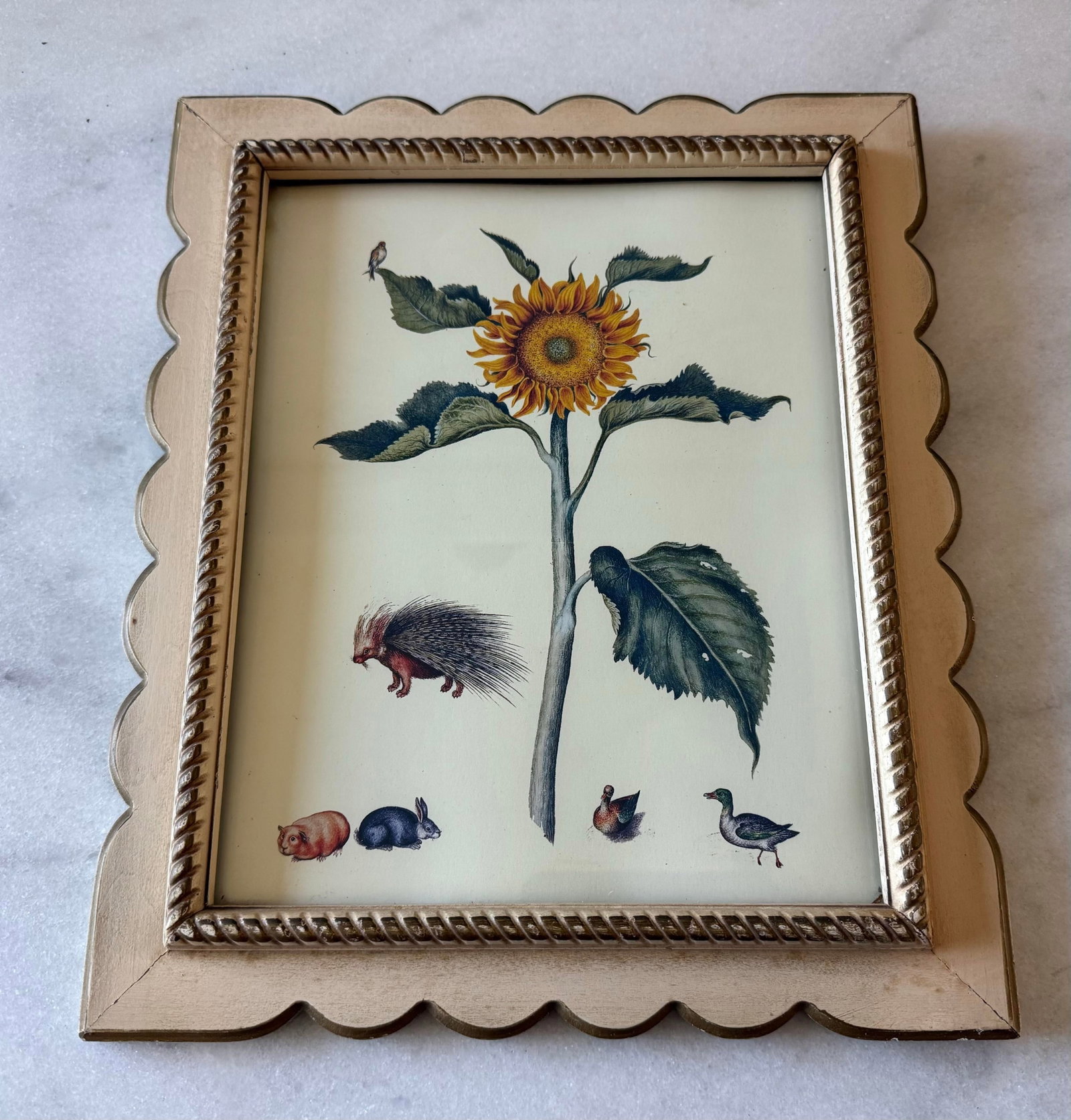 Set of 3 Vintage Botanical Prints in Scalloped Wood Frames - 4