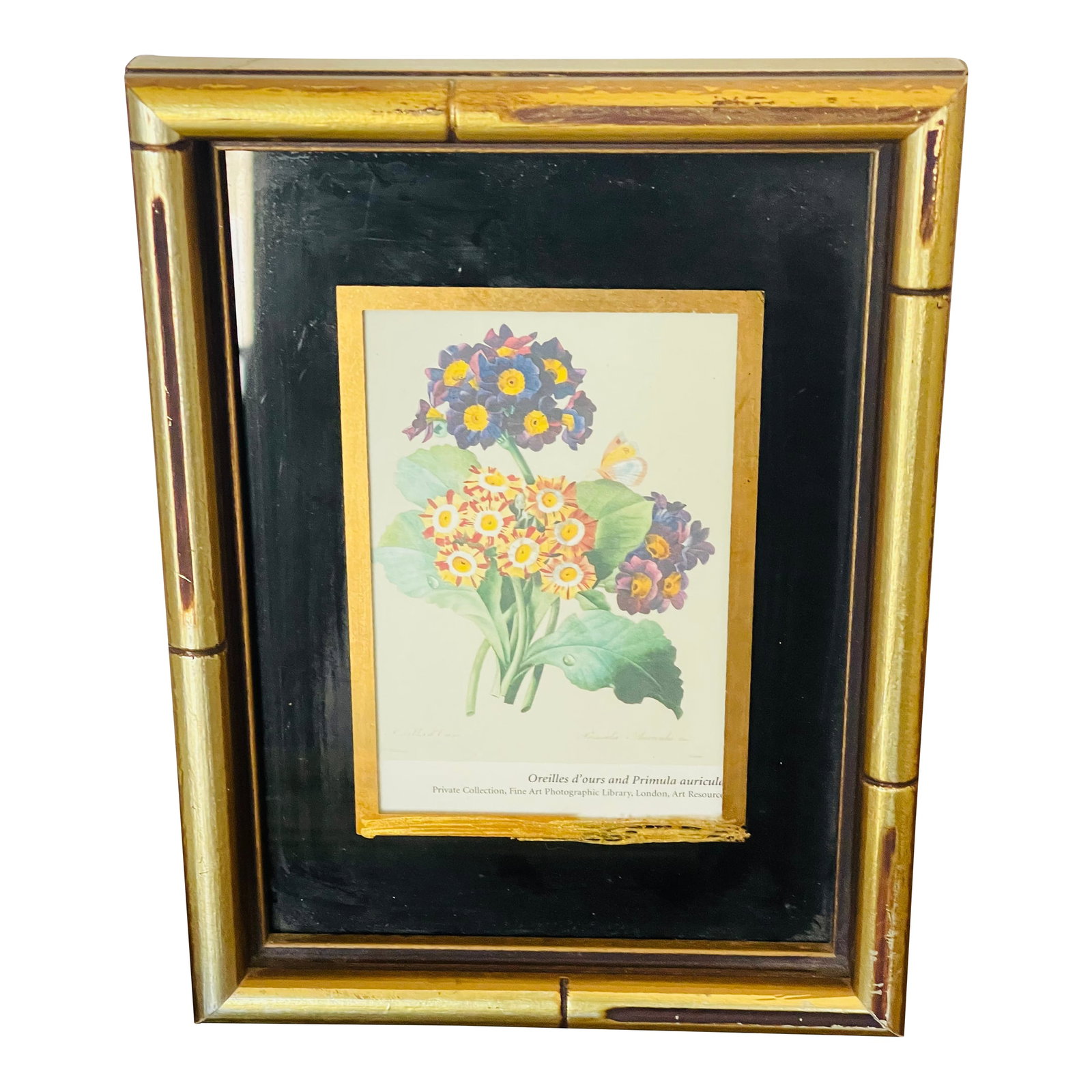 1970s Lovely Small Floral Primula Chromolithograph in Gold Frame Reproduction: Vintage floral Chromolithograph of Primula flowers in gold profiled frame. Condition: Alterations: Original Condition Unaltered Imperfections: Some Imperfections Condition Notes: Good Origin: United