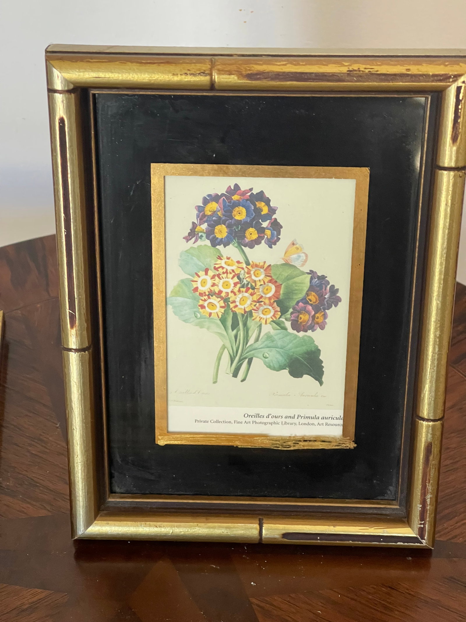 1970s Lovely Small Floral Primula Chromolithograph in Gold Frame Reproduction - 3