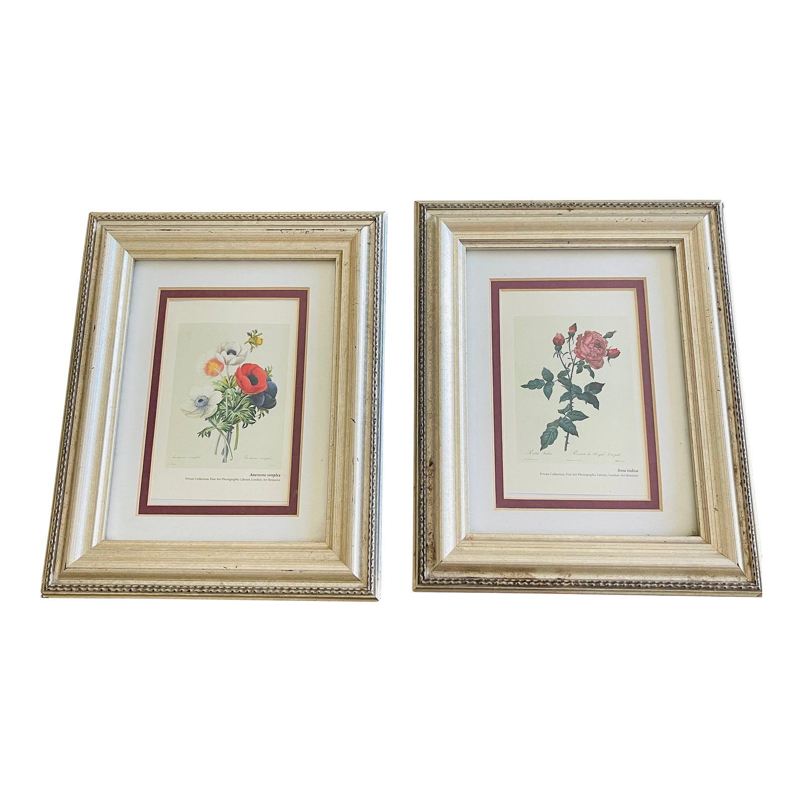 P.J.Redoute Pair Floral Chromolithographs Framed Reproduction (1 of 9)
