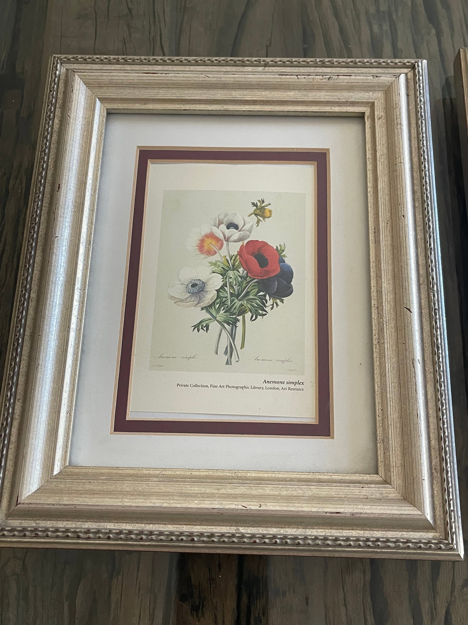 P.J.Redoute Pair Floral Chromolithographs Framed Reproduction - 2