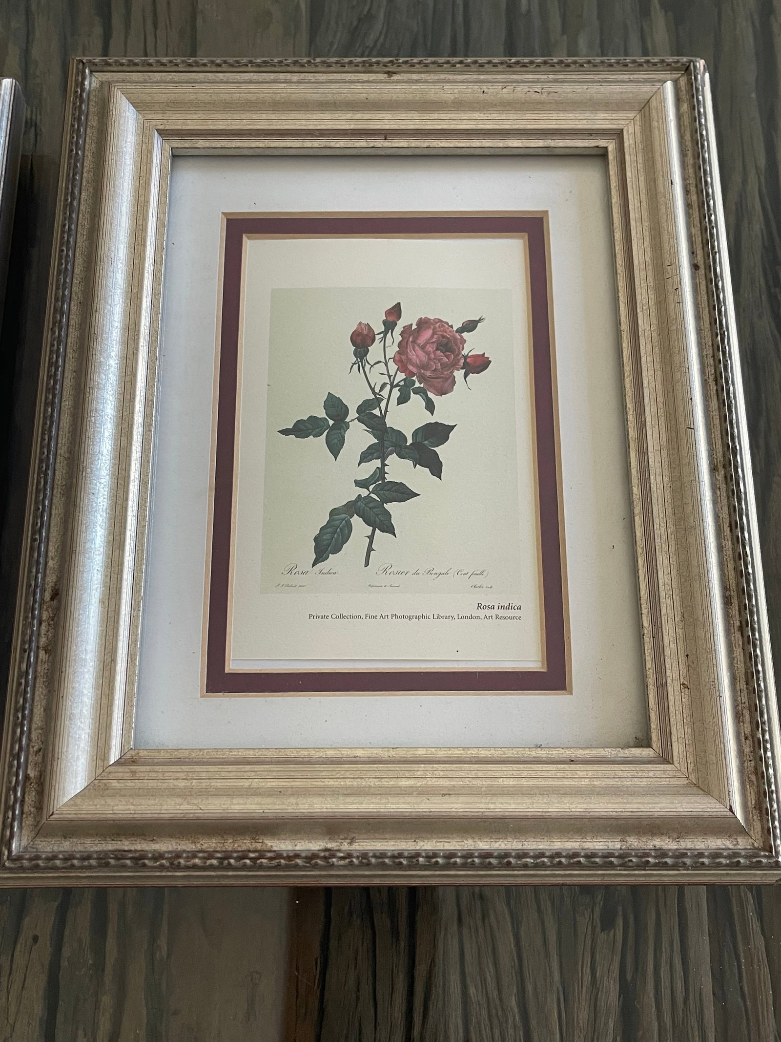 P.J.Redoute Pair Floral Chromolithographs Framed Reproduction - 5