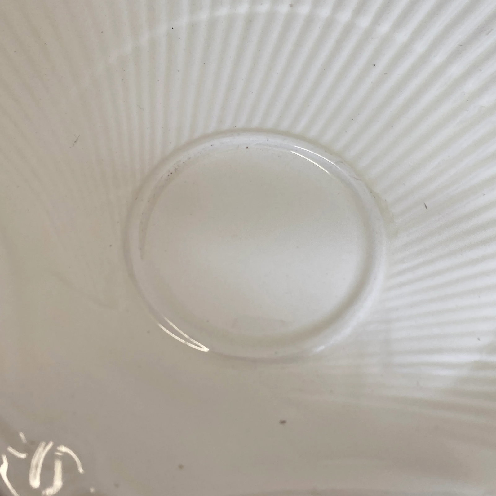 Vintage Wedgwood of Etruria Nautilus Shell Dinner Plates- Set of 4 - 3