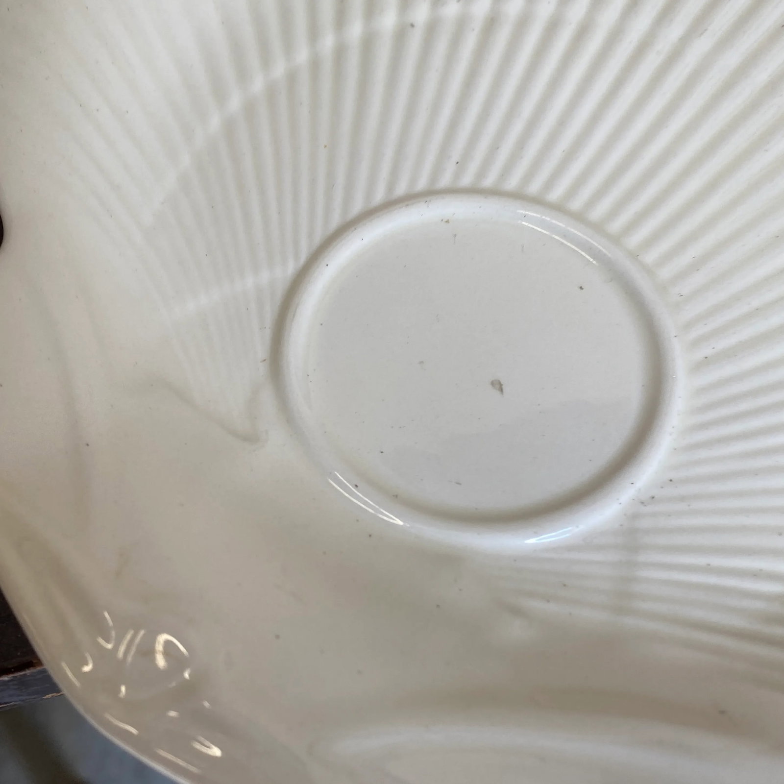 Vintage Wedgwood of Etruria Nautilus Shell Dinner Plates- Set of 4 - 4