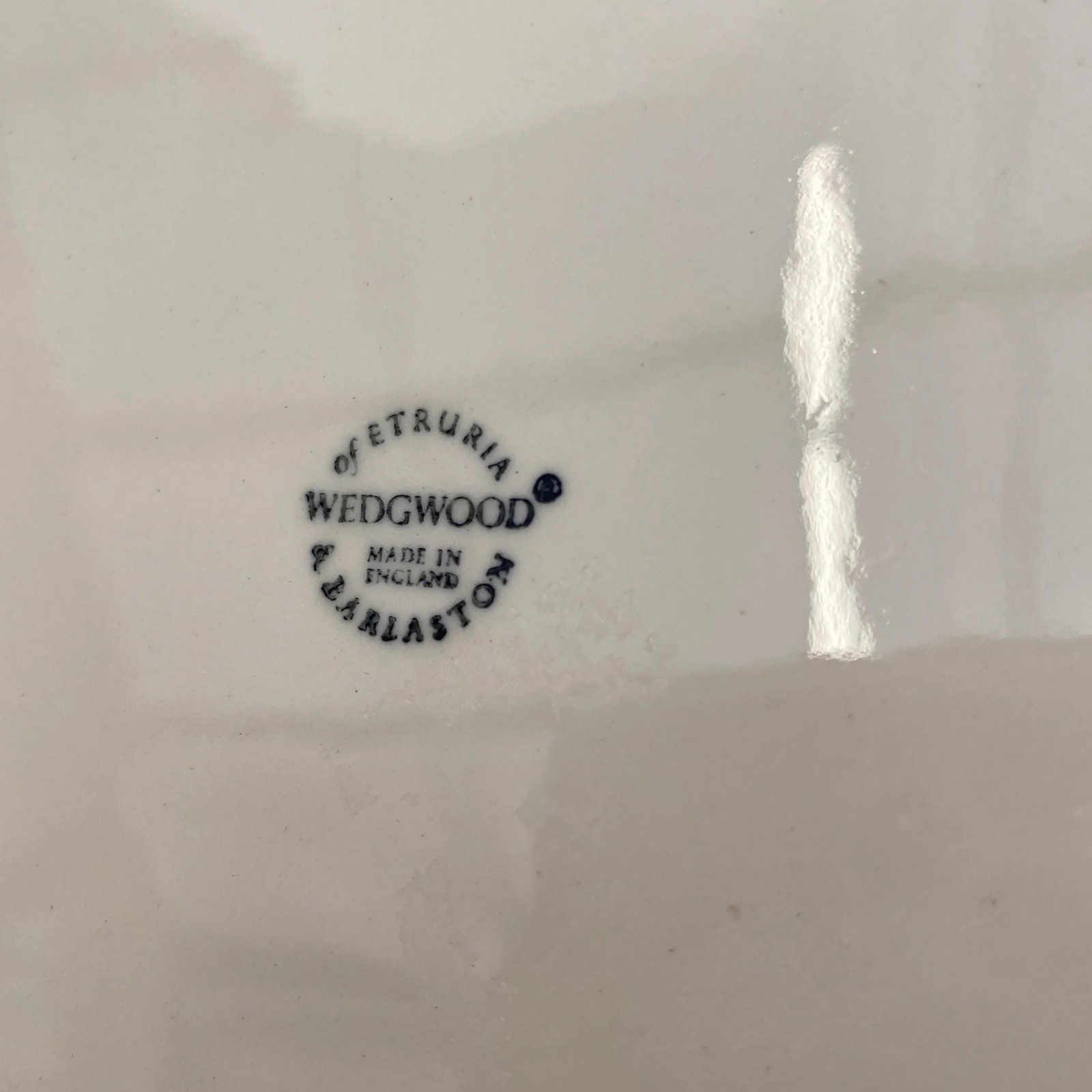 Vintage Wedgwood of Etruria Nautilus Shell Dinner Plates- Set of 4 - 5