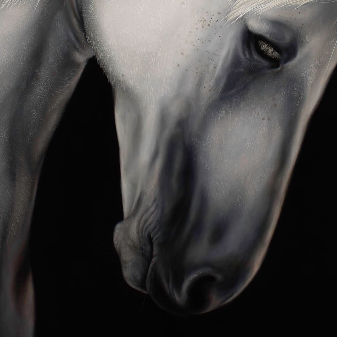 Passive Sacrifice by Che Leviathan | Oil on Panel Portrait of a White Horse - 2