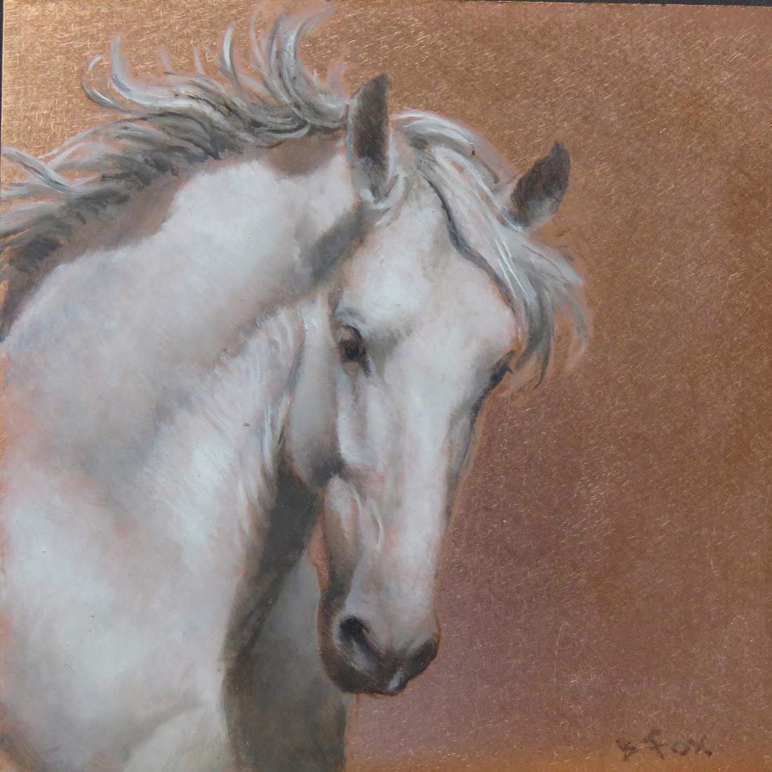 A Willing Spirit #7 by Barbara Fox | Oil on Copper Painting of a white horse head: This oil on copper painting captures the majestic presence of a white horse, its flowing mane and expressive features evoking a sense of grace and strength. The warm, golden background enhances the