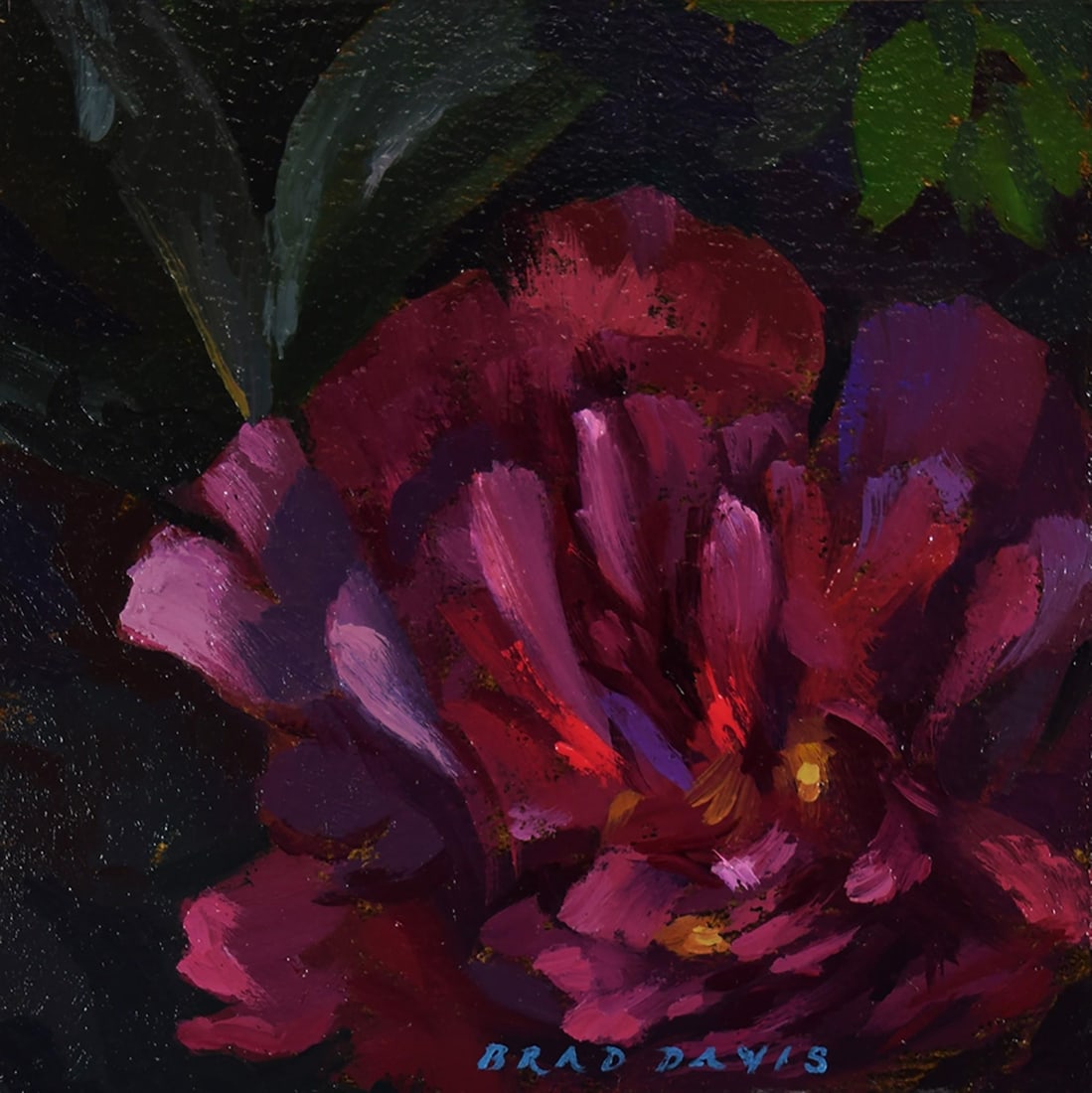June Bloom by Brad Davis | Oil Painting of vibrant red and purple flowers: This oil on panel artwork features a lush bloom of deep crimson and violet flowers against a dark, richly textured background. The brushwork is expressive, capturing the vibrancy and complexity of