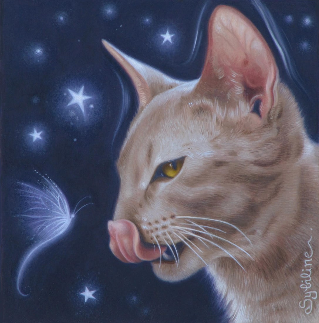 Delicious by Sybiline | Oil on paper pasted panel Cat licking its lips with a butterfly in a starry - 2