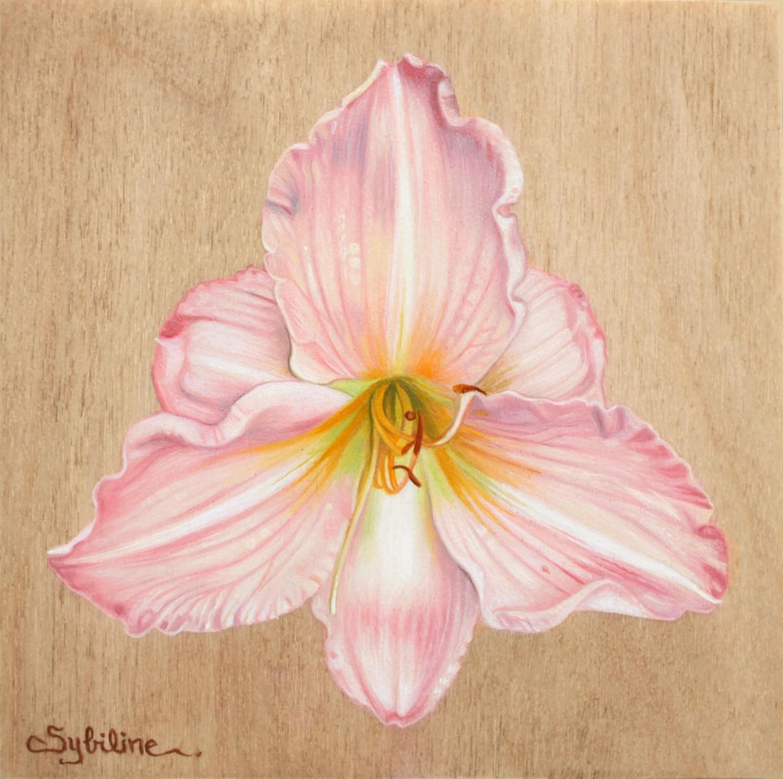 Hemerocallis I by Sybiline | Oil on panel Painting of a pink flower with yellow details: This oil painting depicts a delicate Hemerocallis flower, capturing its soft pink hues and intricate petal details against a natural wood panel. The artist employs a meticulous technique,
