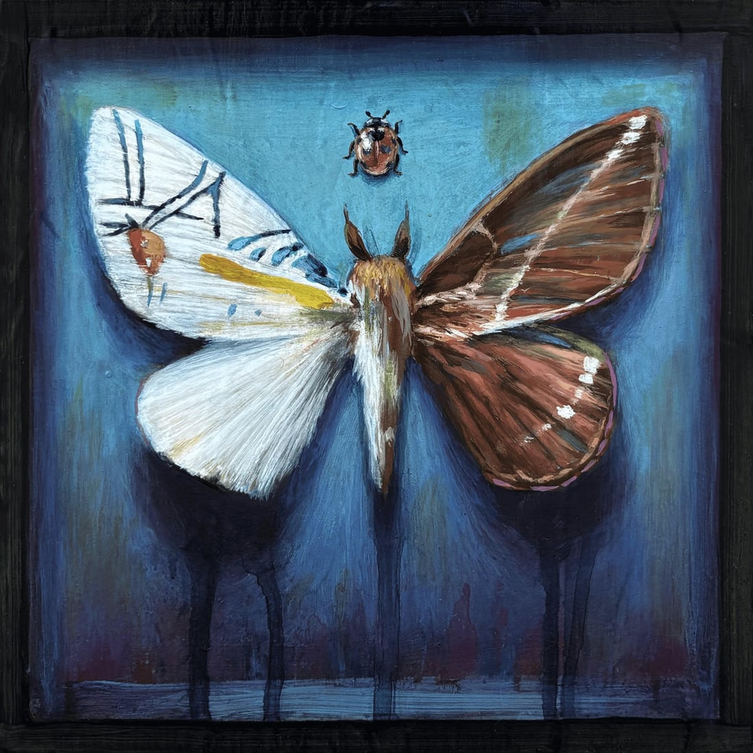 Hybrid Moth by Stacy D'Aguiar | Acrylic on wood depicting a moth with intricate patterns.: Hybrid Moth presents a striking depiction of a moth, its wings intricately detailed with contrasting colors and patterns that evoke a sense of both realism and abstraction. The background features a