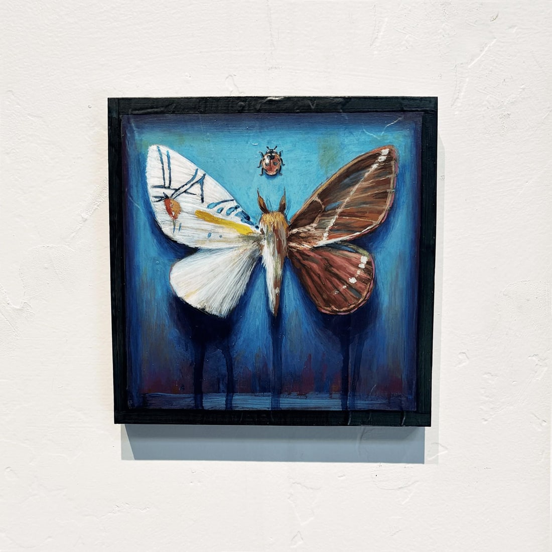 Hybrid Moth by Stacy D'Aguiar | Acrylic on wood depicting a moth with intricate patterns. - 2