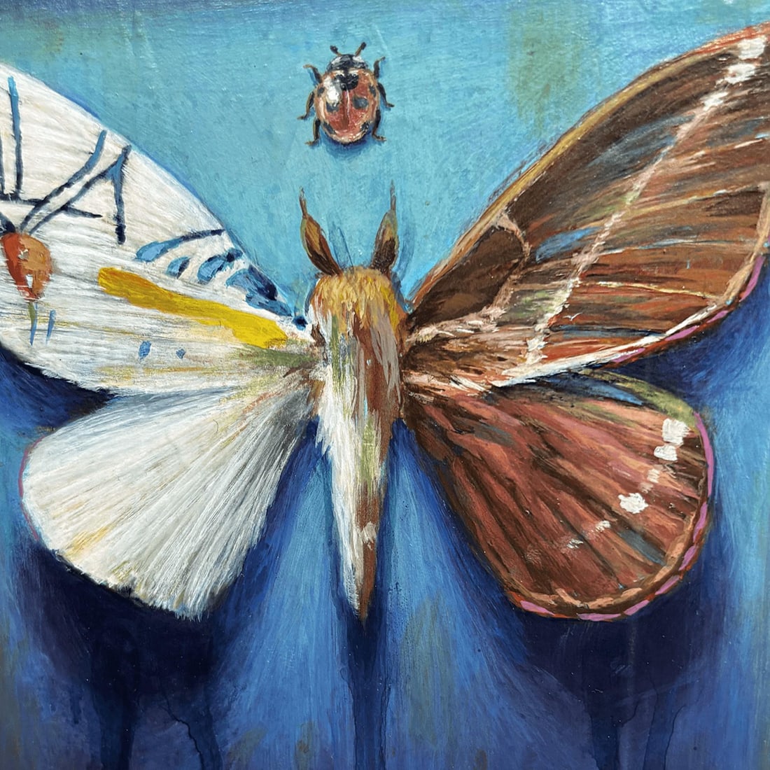 Hybrid Moth by Stacy D'Aguiar | Acrylic on wood depicting a moth with intricate patterns. - 4