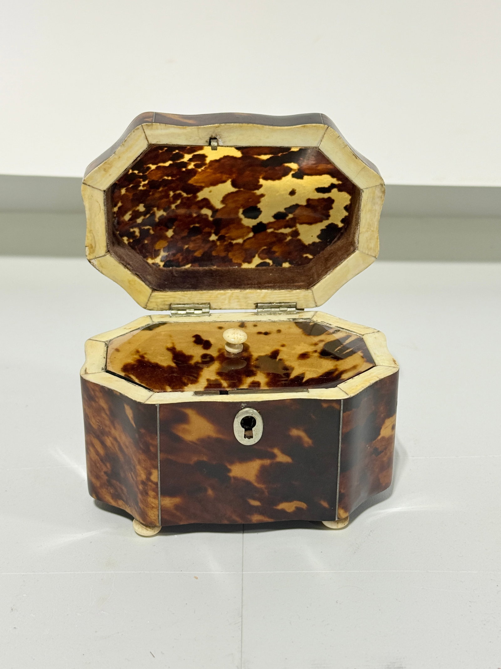 Dutch Regency Tortoiseshell Tea Caddy, Circa 1820 - 2
